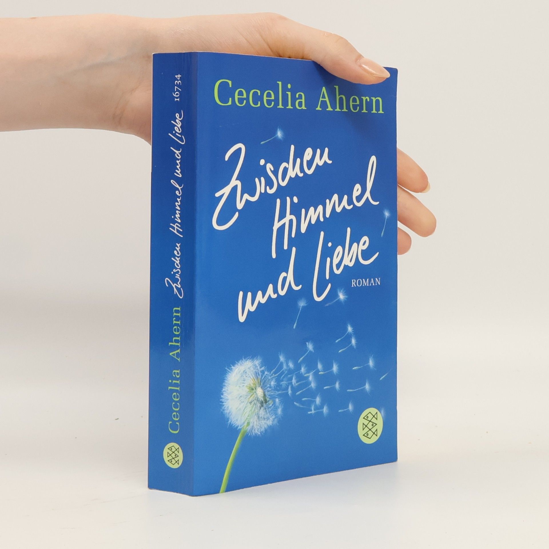 Cecelia Ahern Zwischen Himmel und Liebe