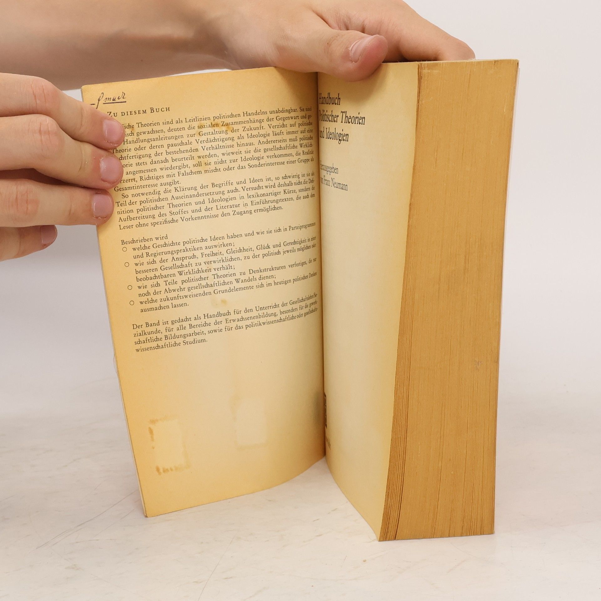 Franz L. Neumann Handbuch politischer Theorien und Ideologien
