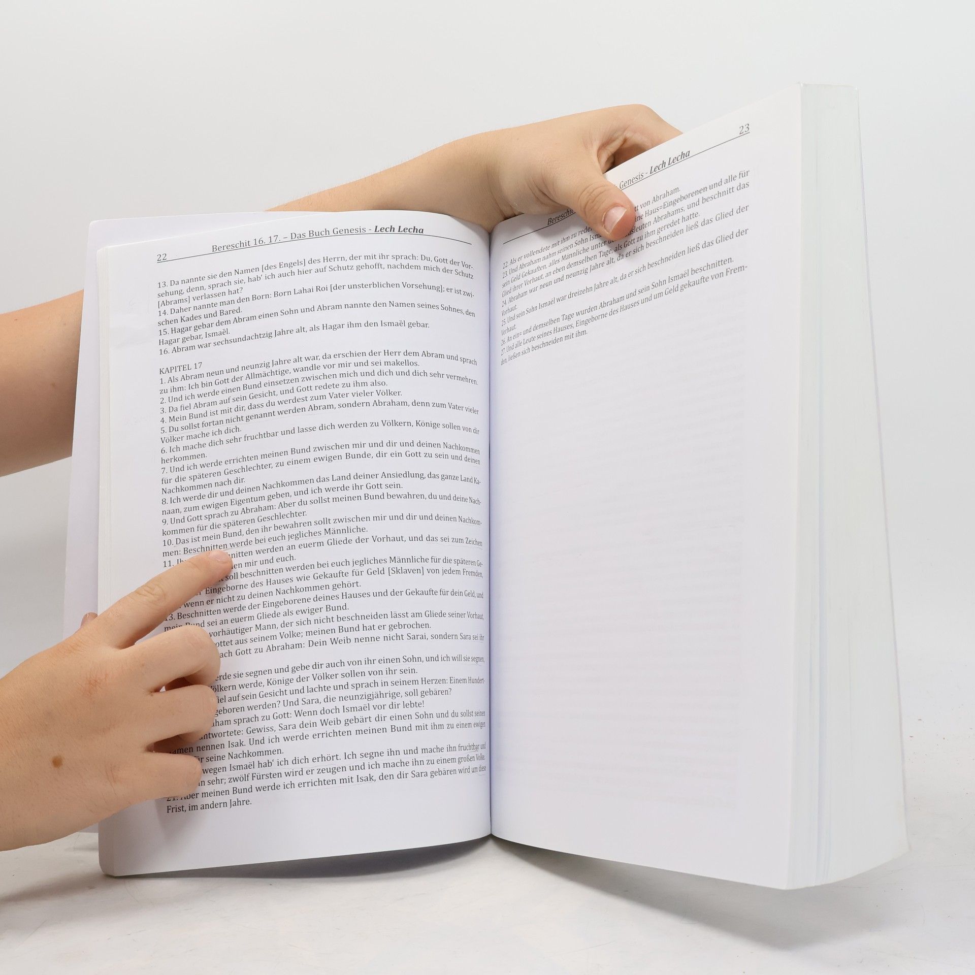 Rabbiner Dr. Simon Bernfeld תורה נביאים וכתובים Die Heilige Schrift