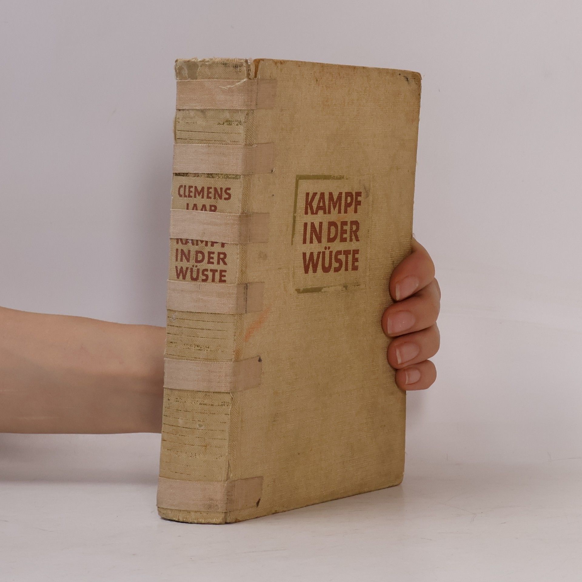 Clemens Laar Kampf in der Wüste