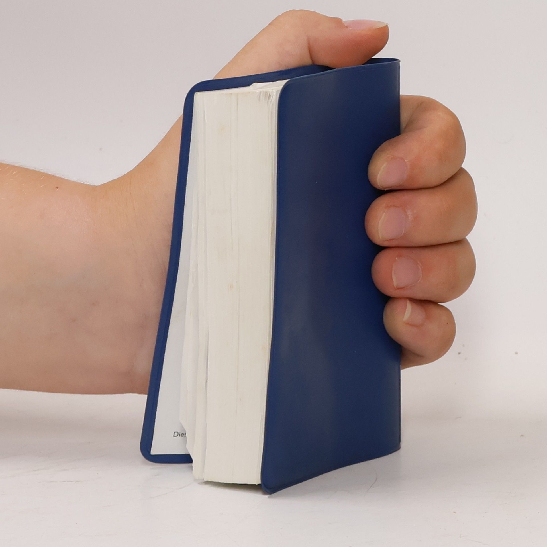 Autorenkollektiv Neues Testament. Psalmen Sprüche