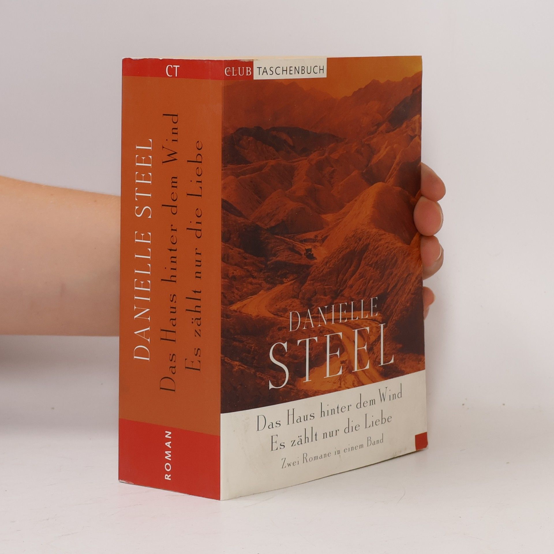 Danielle Steel Das Haus hinter dem Wind, Es zählt nur die Liebe