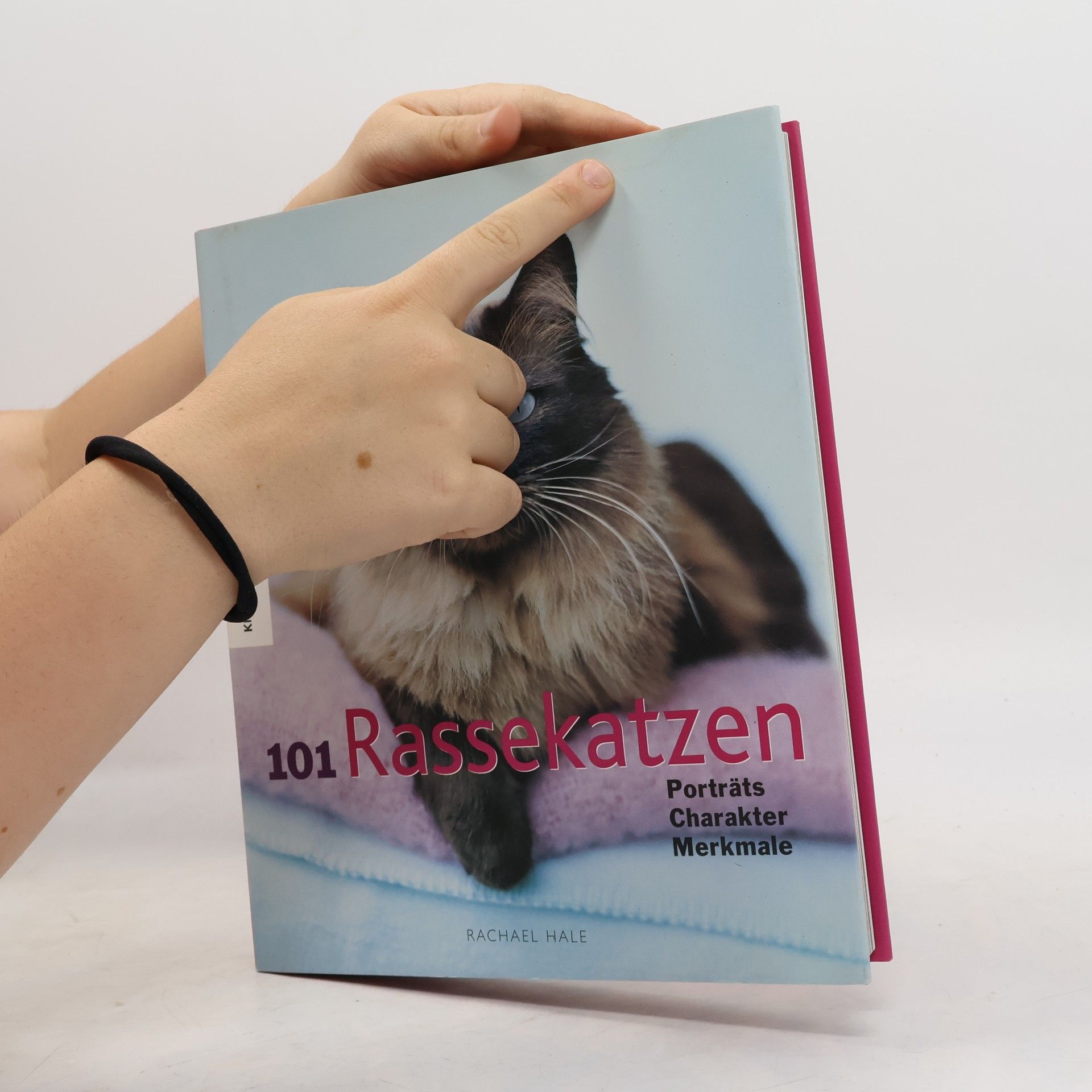 Rachael McKenna 101 Rassekatzen