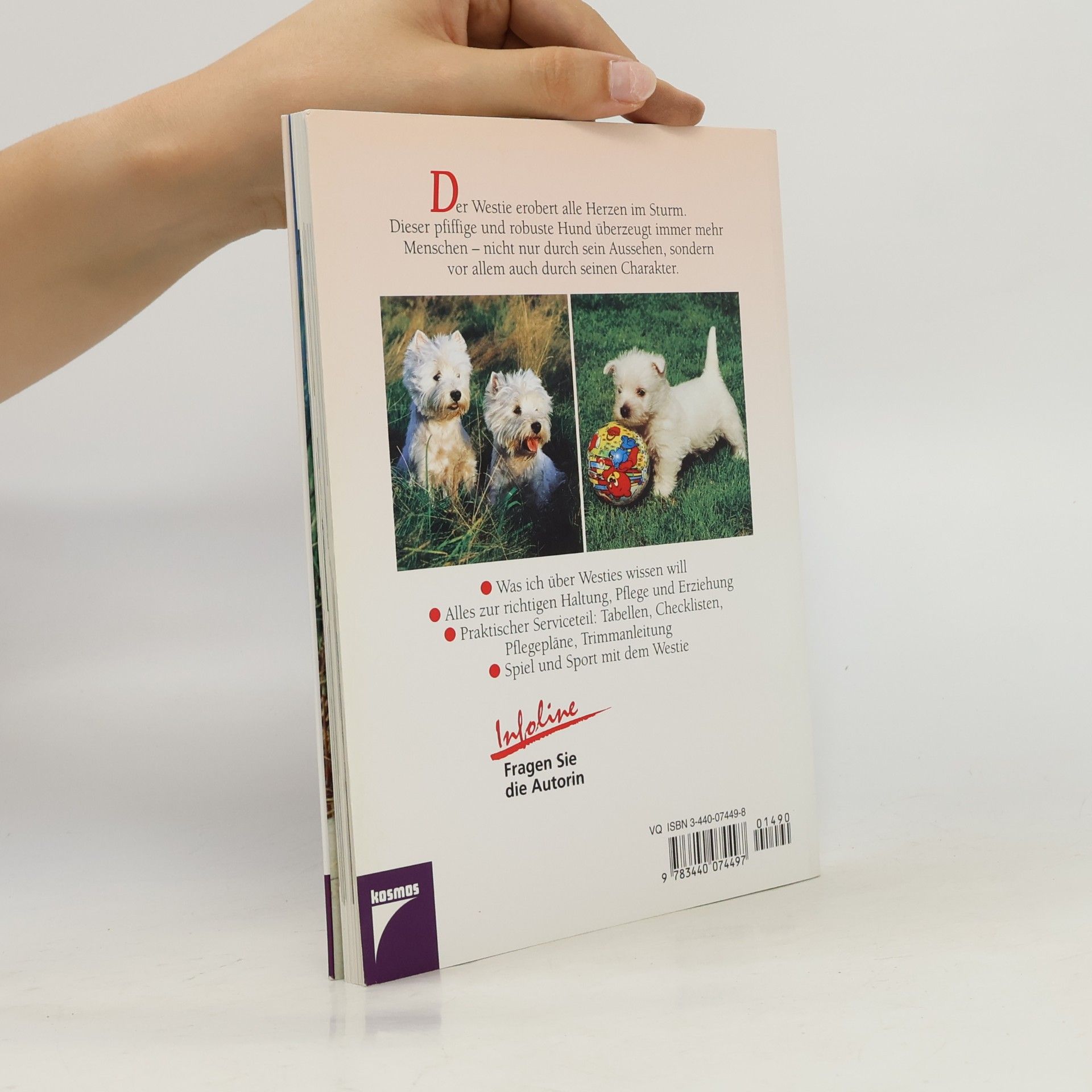 Inga Flamang Westie