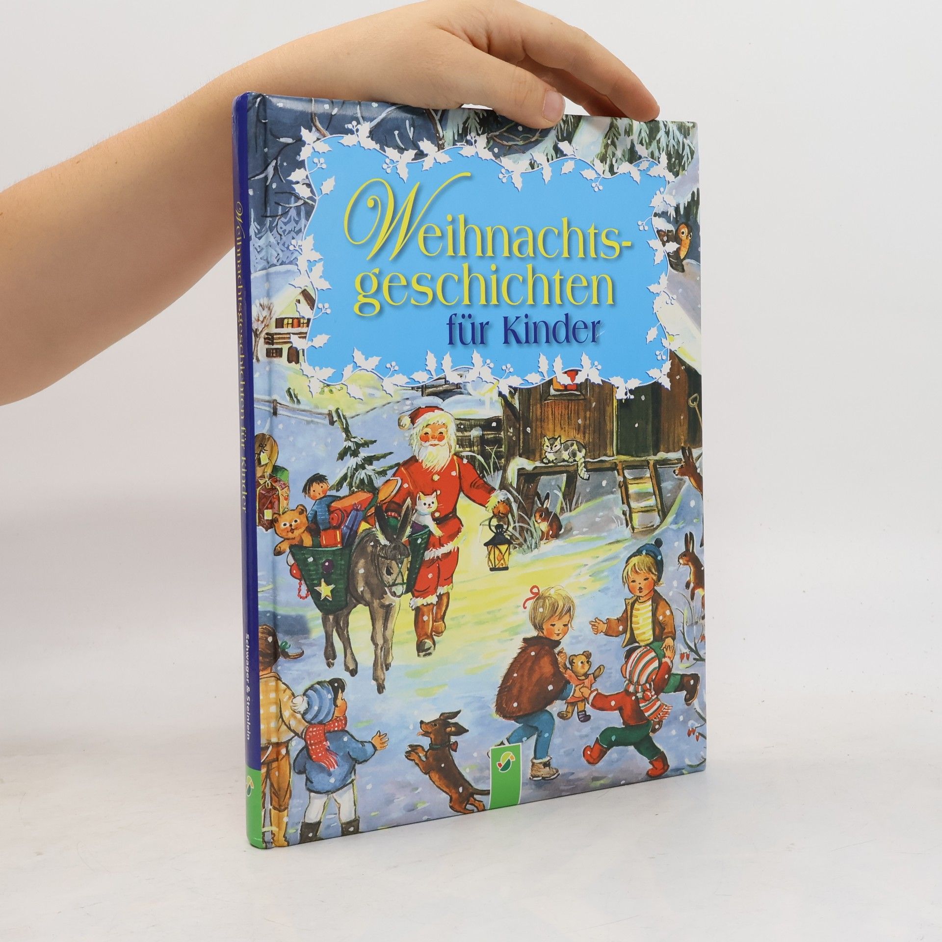 Autorenkollektiv Weihnachtsgeschichten für Kinder