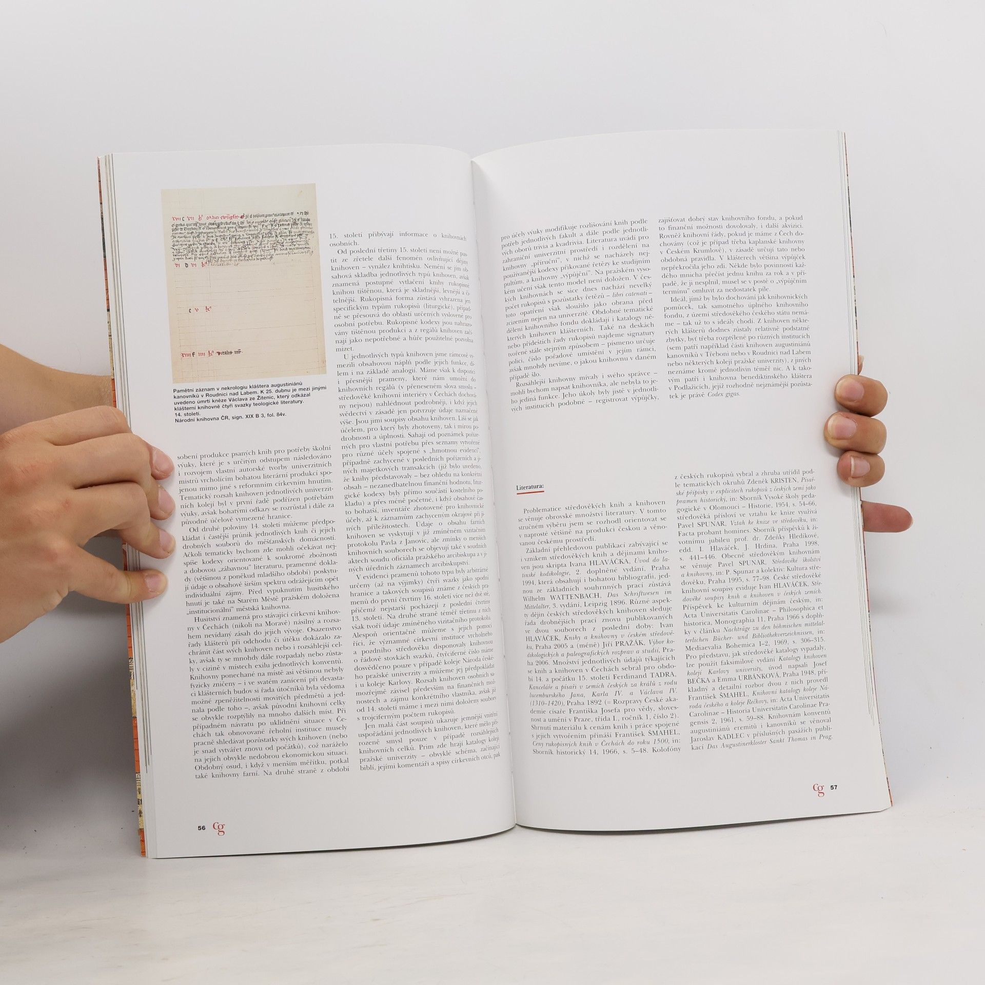 Kamil Boldan Codex Gigas. Ďáblova bible.
