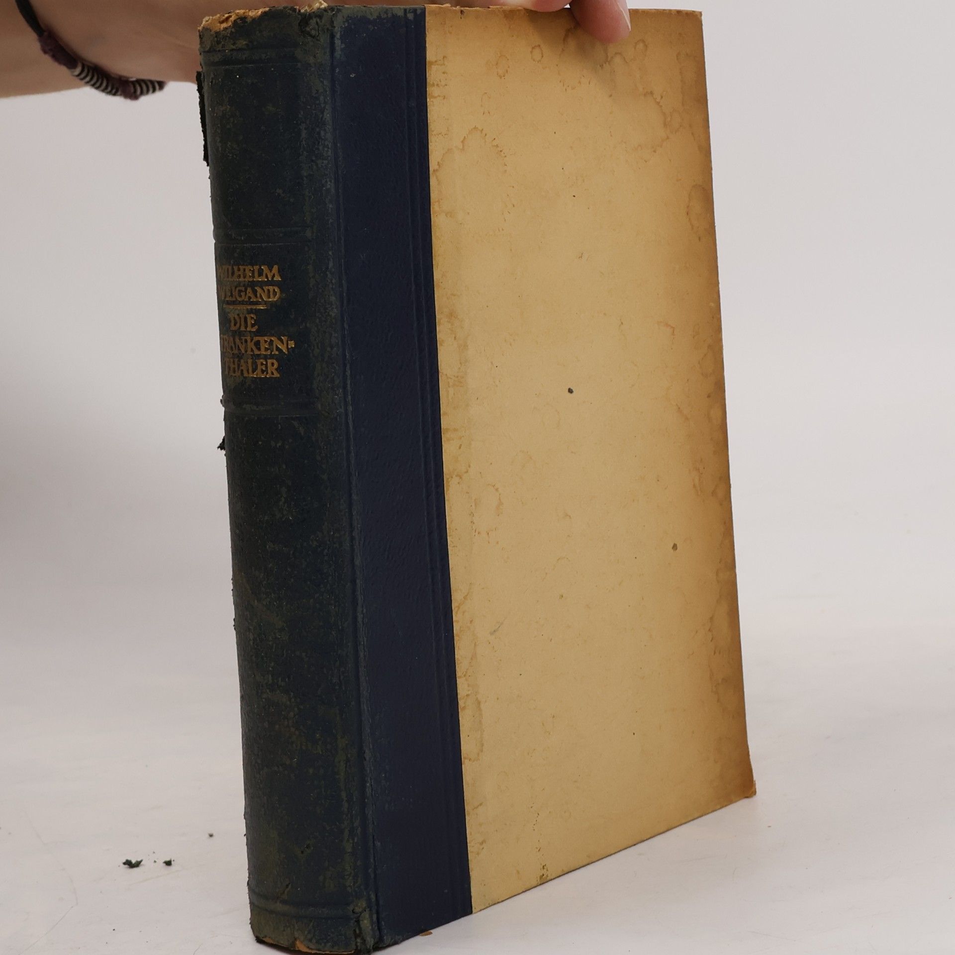 Wilhelm Weigand Die Frankenthaler