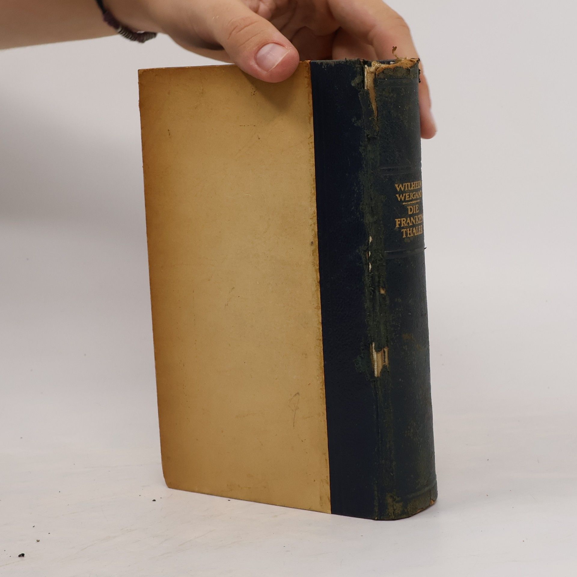 Wilhelm Weigand Die Frankenthaler