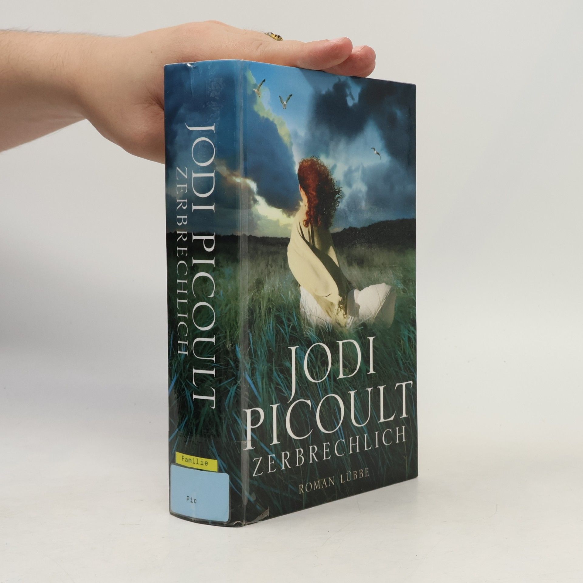Jodi Picoult Zerbrechlich