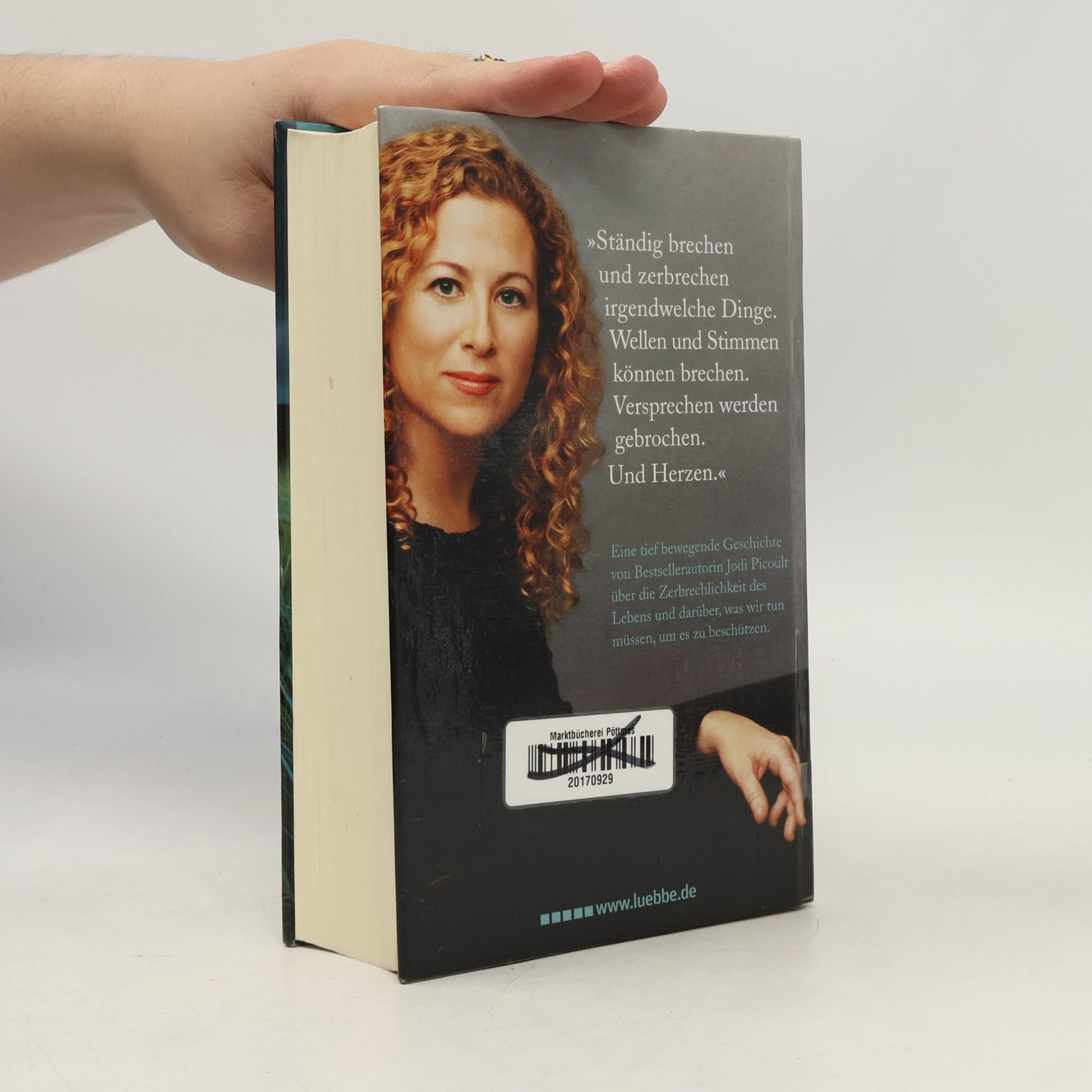 Jodi Picoult Zerbrechlich