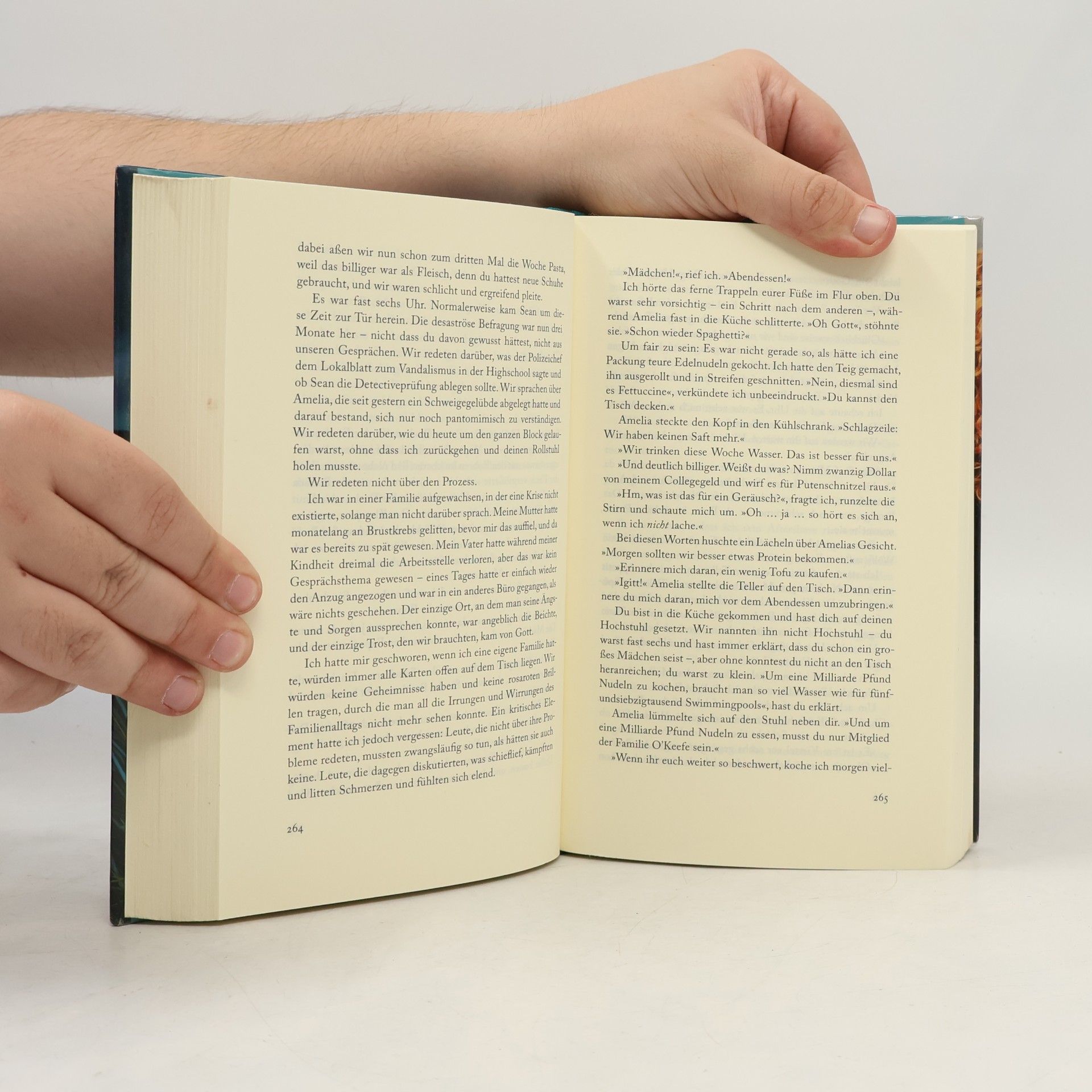 Jodi Picoult Zerbrechlich