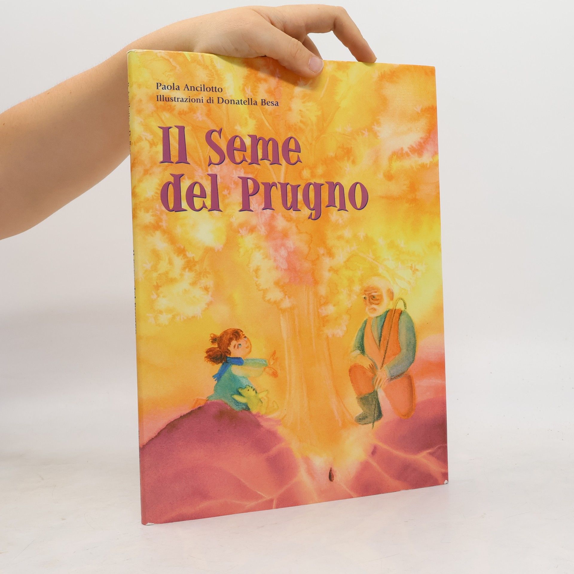 Donatella Besa Il seme del prugno