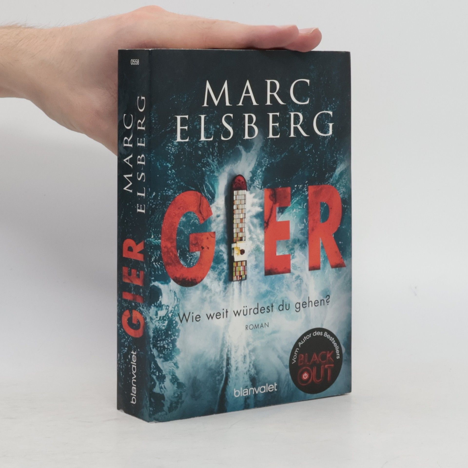 Marc Elsberg Gier