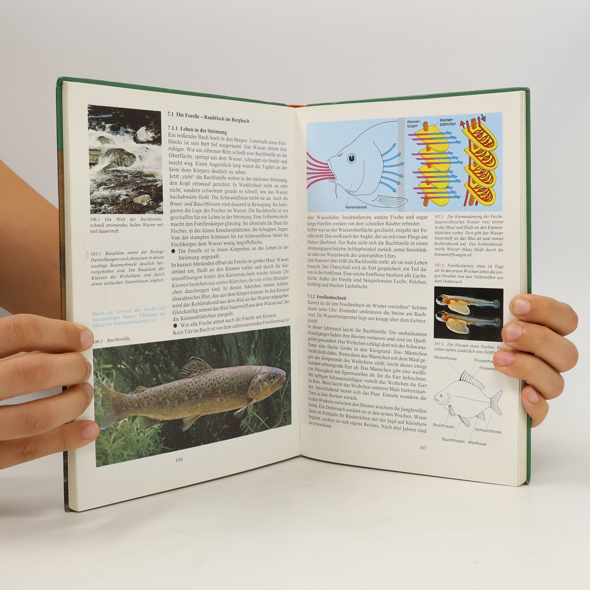 CVK-Biologie