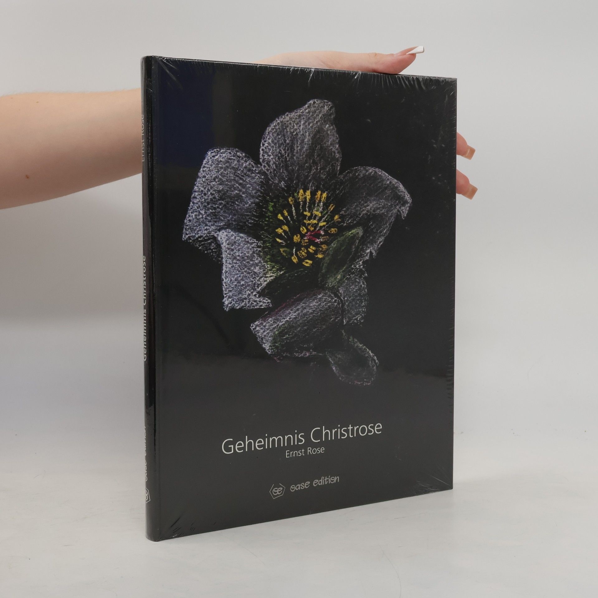 Rose Ernst Geheimnis Christrose