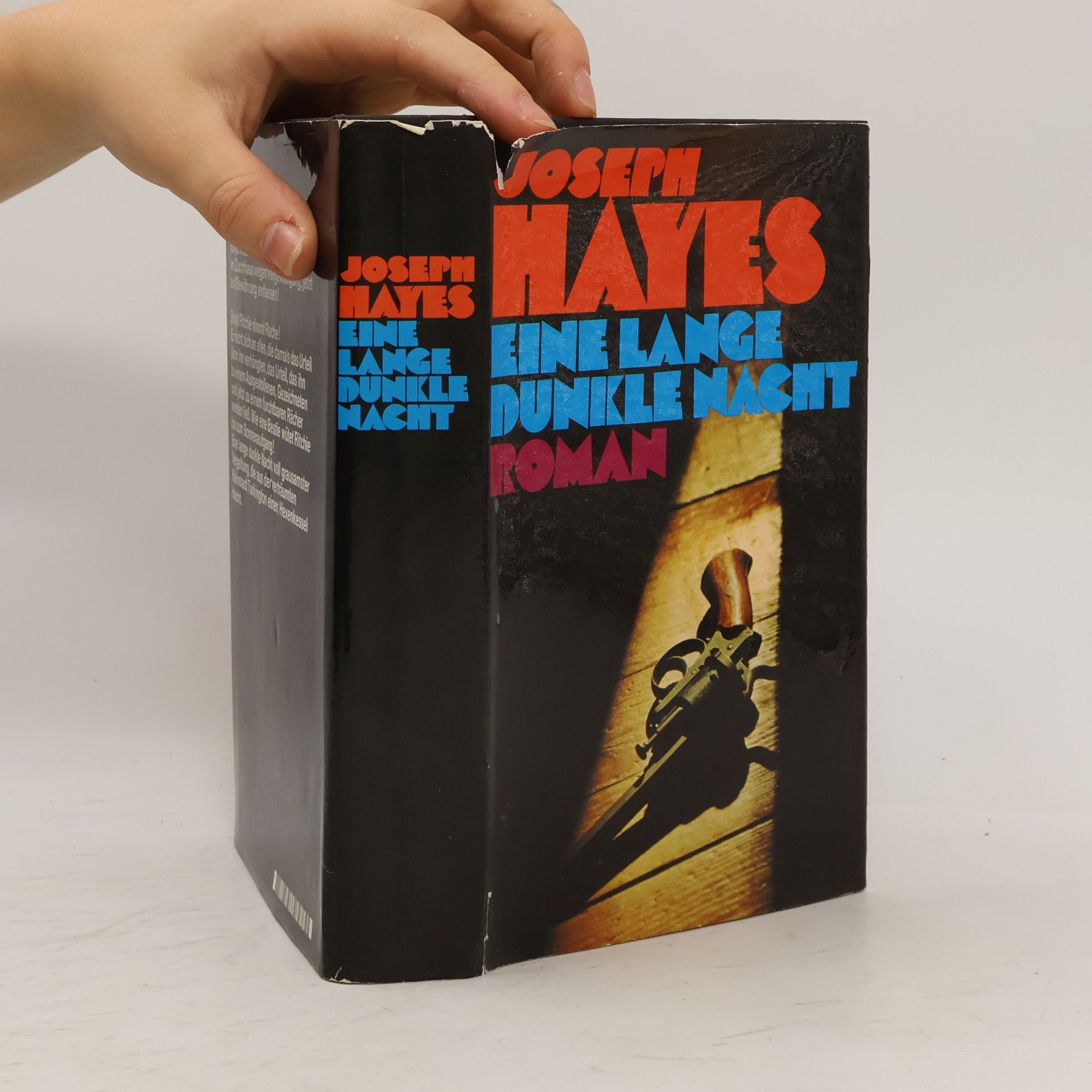 Joseph Hayes Eine Lange dunkle nacht