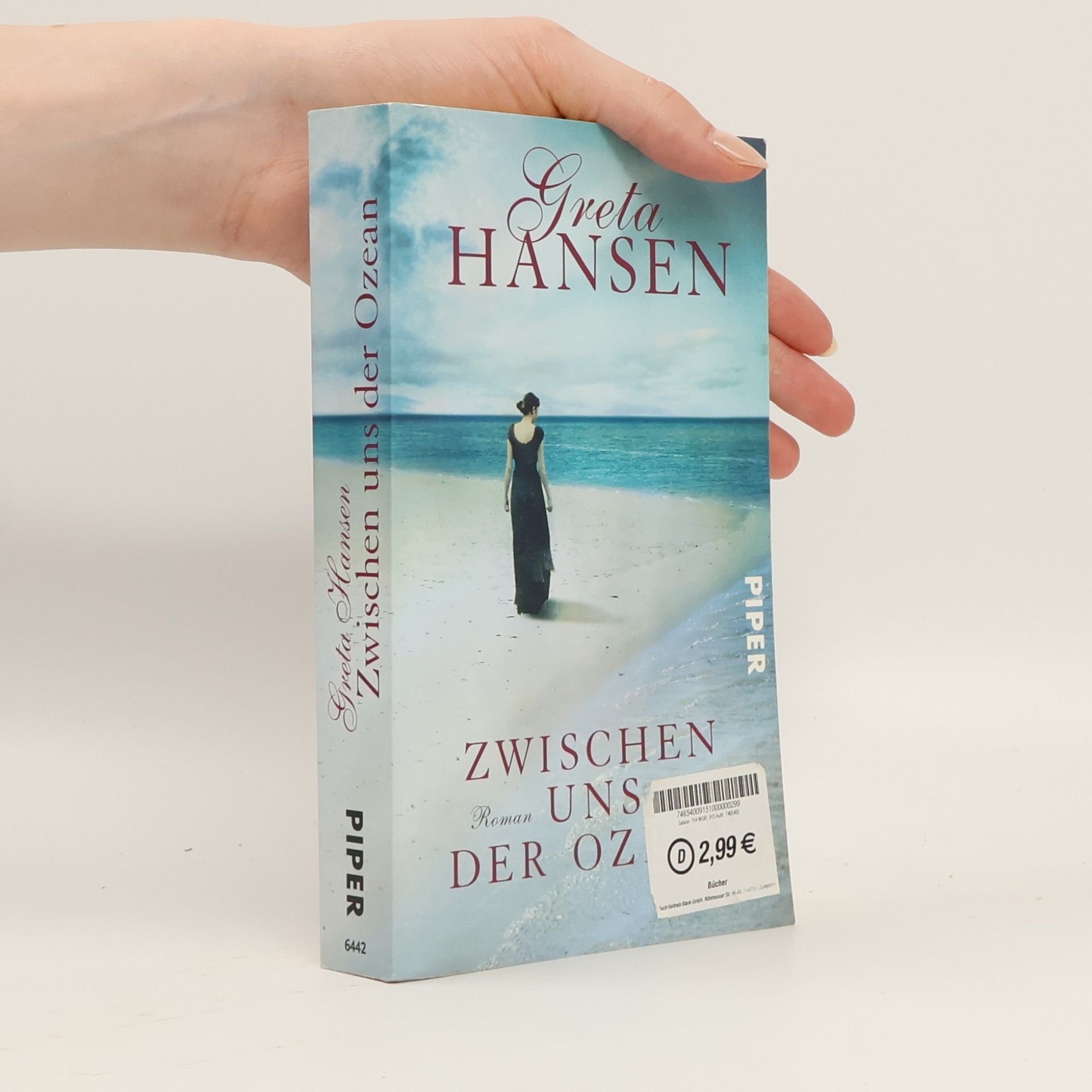Greta Hansen Zwischen uns der Ozean
