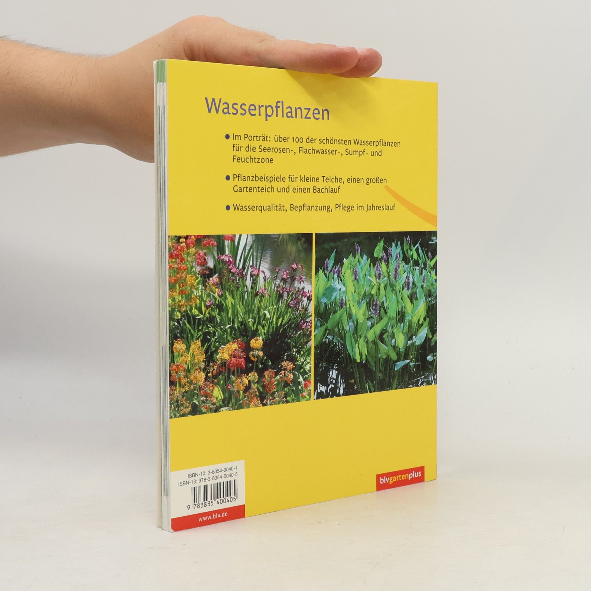 Walter Schimana Wasserpflanzen