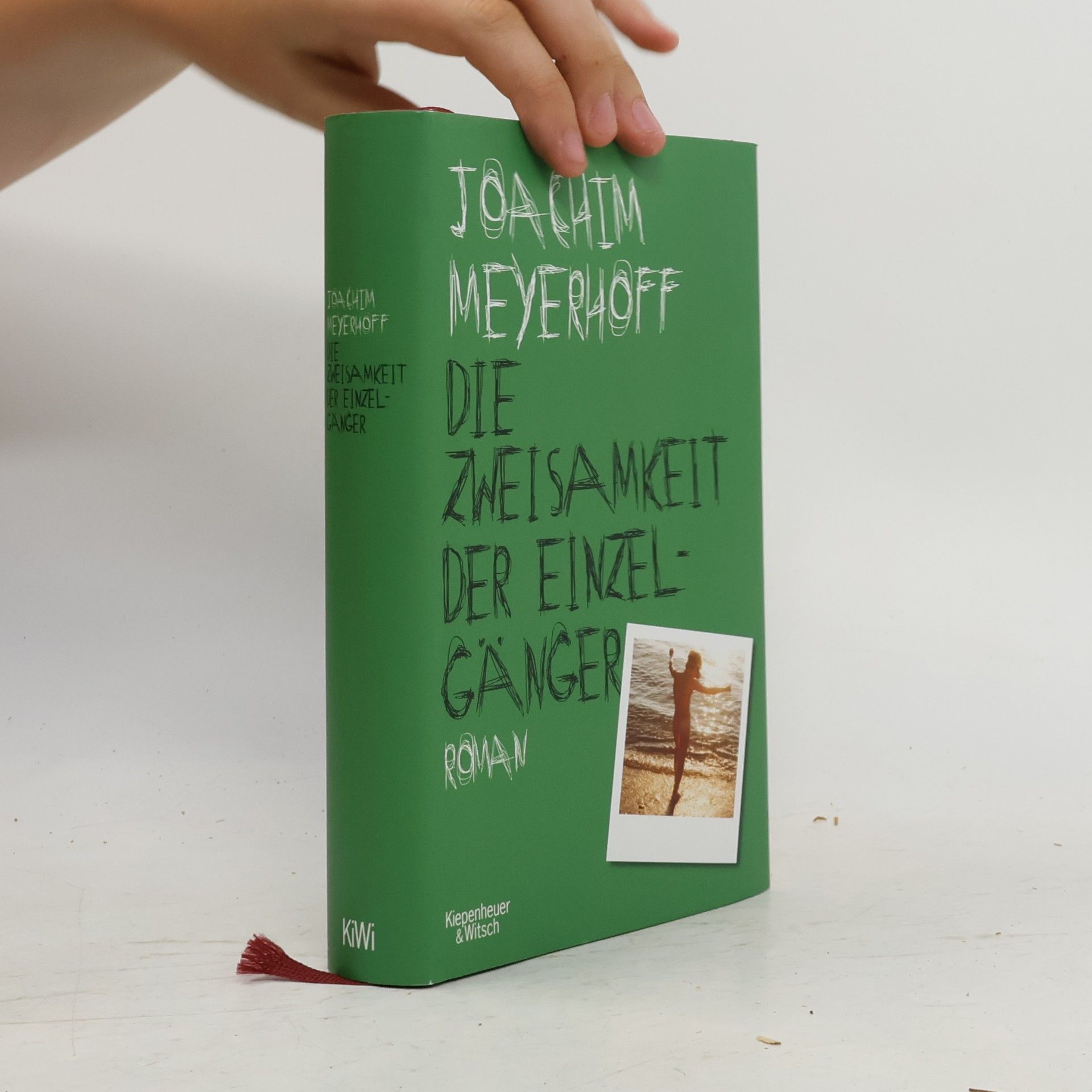 Joachim Meyerhoff Die Zweisamkeit der Einzelgänger