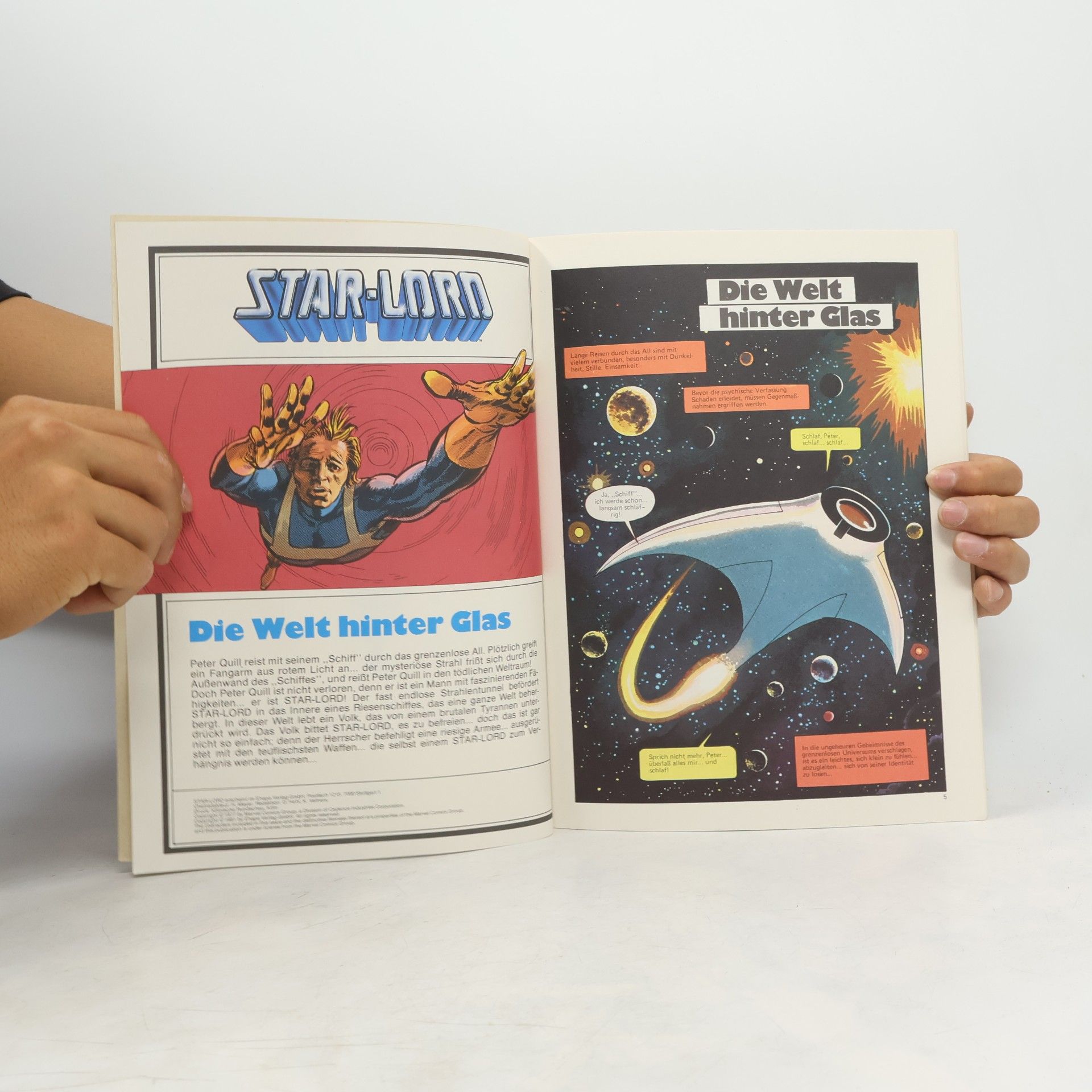 Autorenkollektiv Star-Lord. Die Welt hinter Glas
