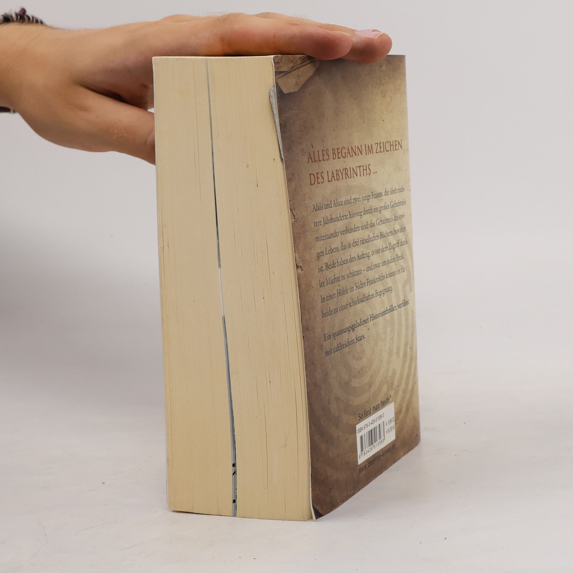 Kate Mosse Das verlorene Labyrinth