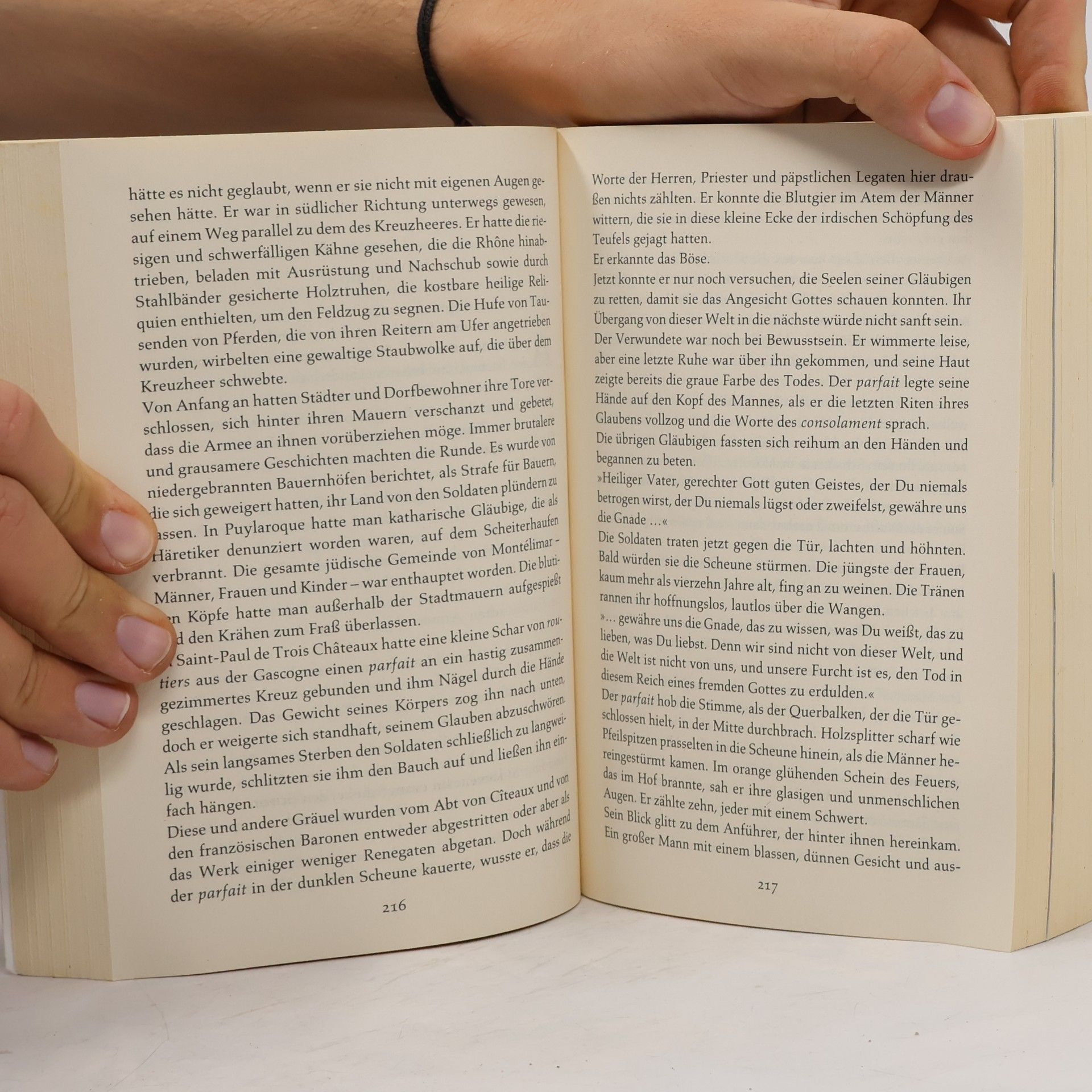 Kate Mosse Das verlorene Labyrinth