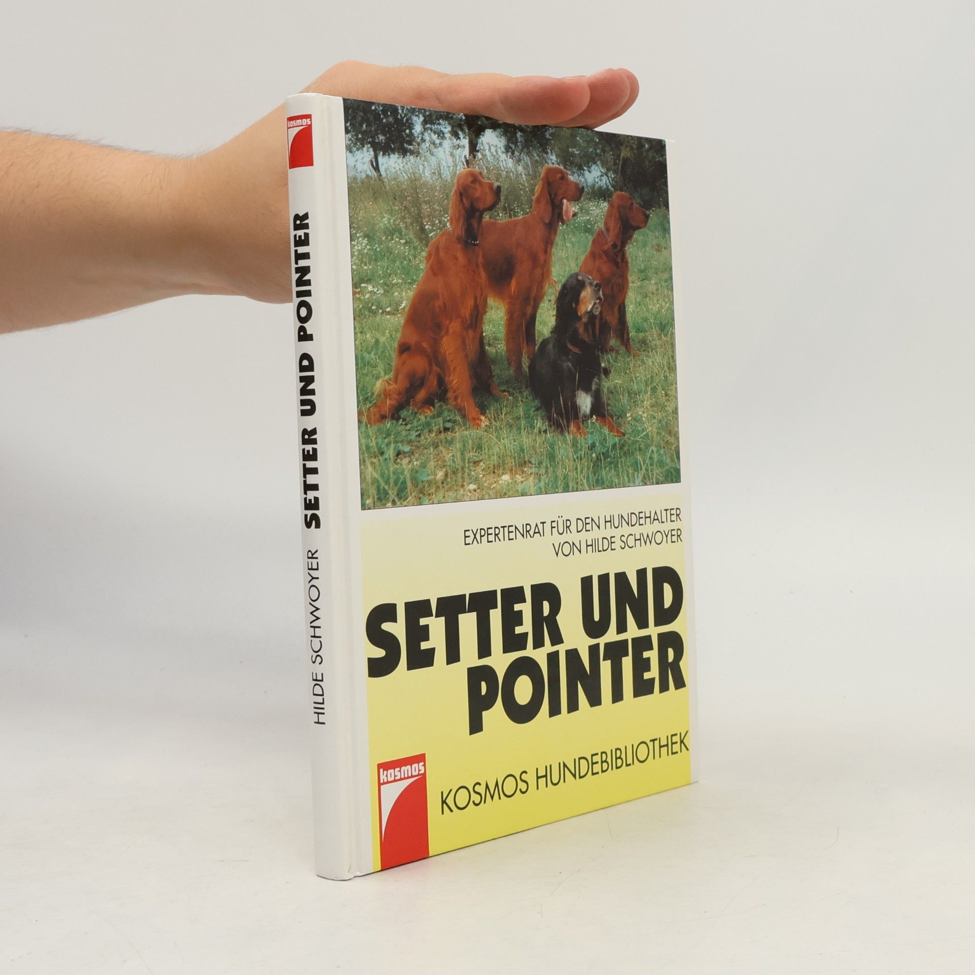 Setter und Pointer