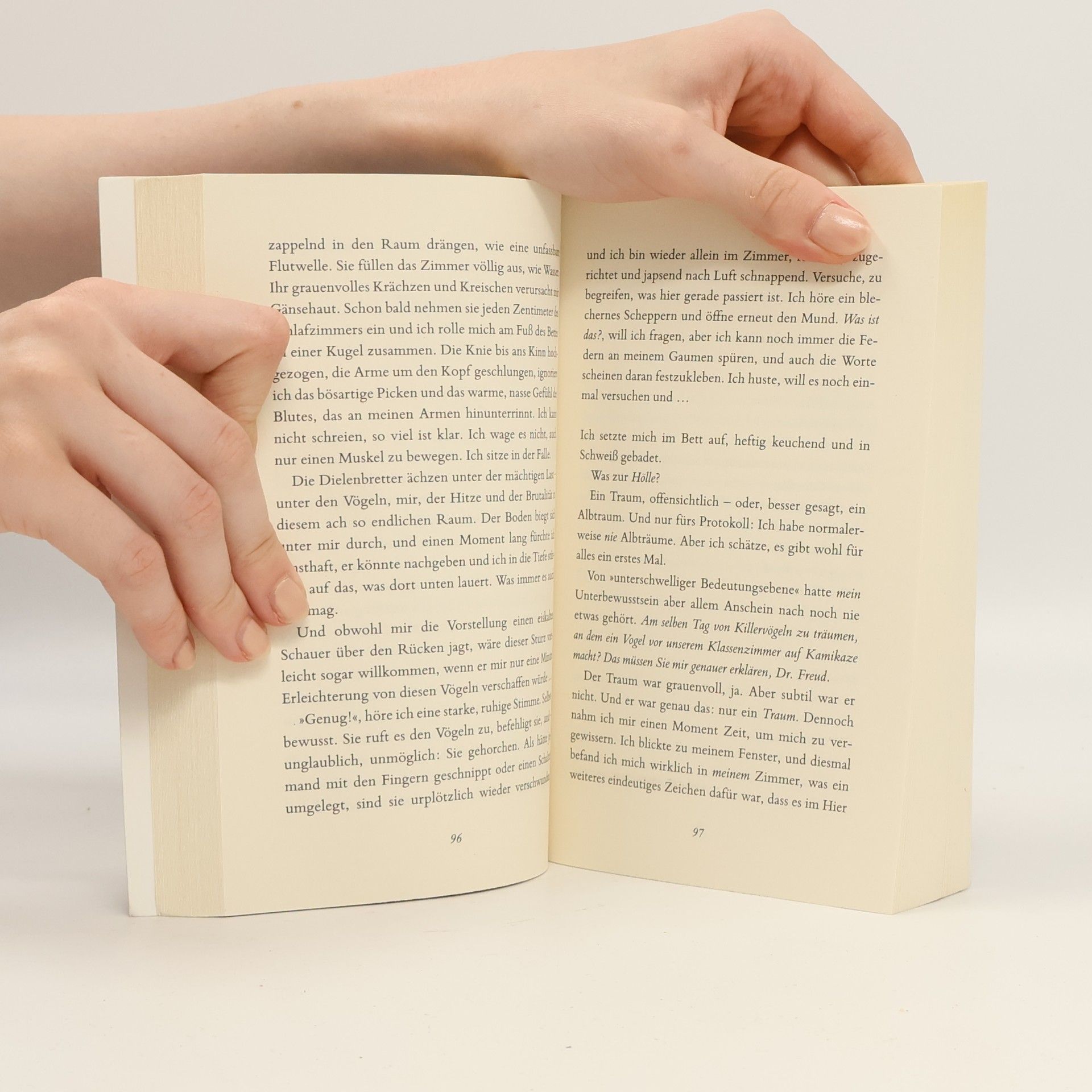 Micol Ostow Nancy Drew - Der Fluch. Exklusiver Roman zum neuen Serien-Highlight