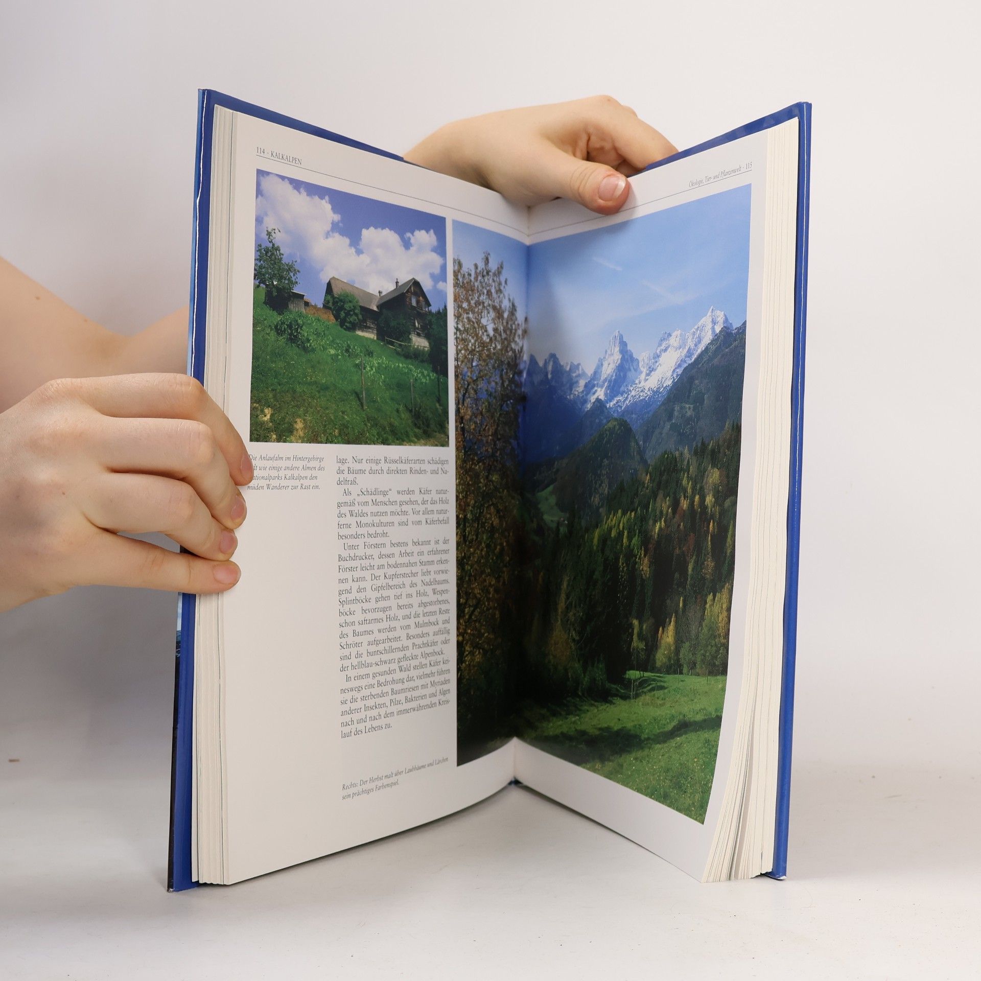 Hans Peter Graner Österreichs Nationalparks: grandiose Landschaften zwischen Auwäldern und Alpengipfeln