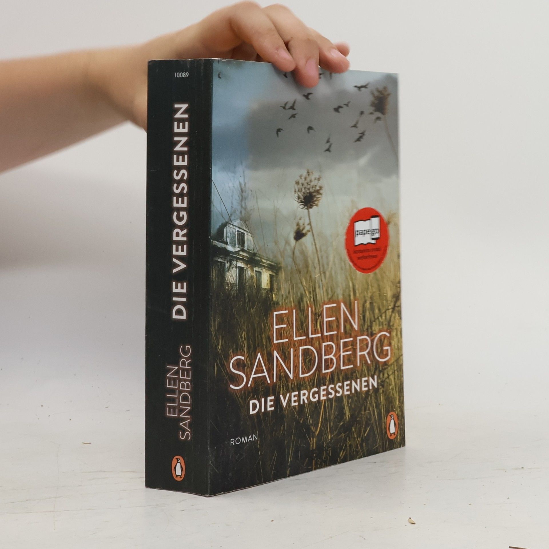 Ellen Sandberg Die Vergessenen