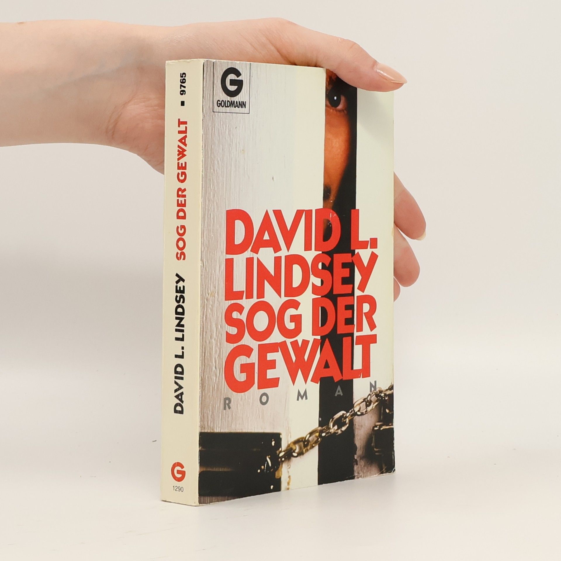 David Lindsey Sog der Gewalt