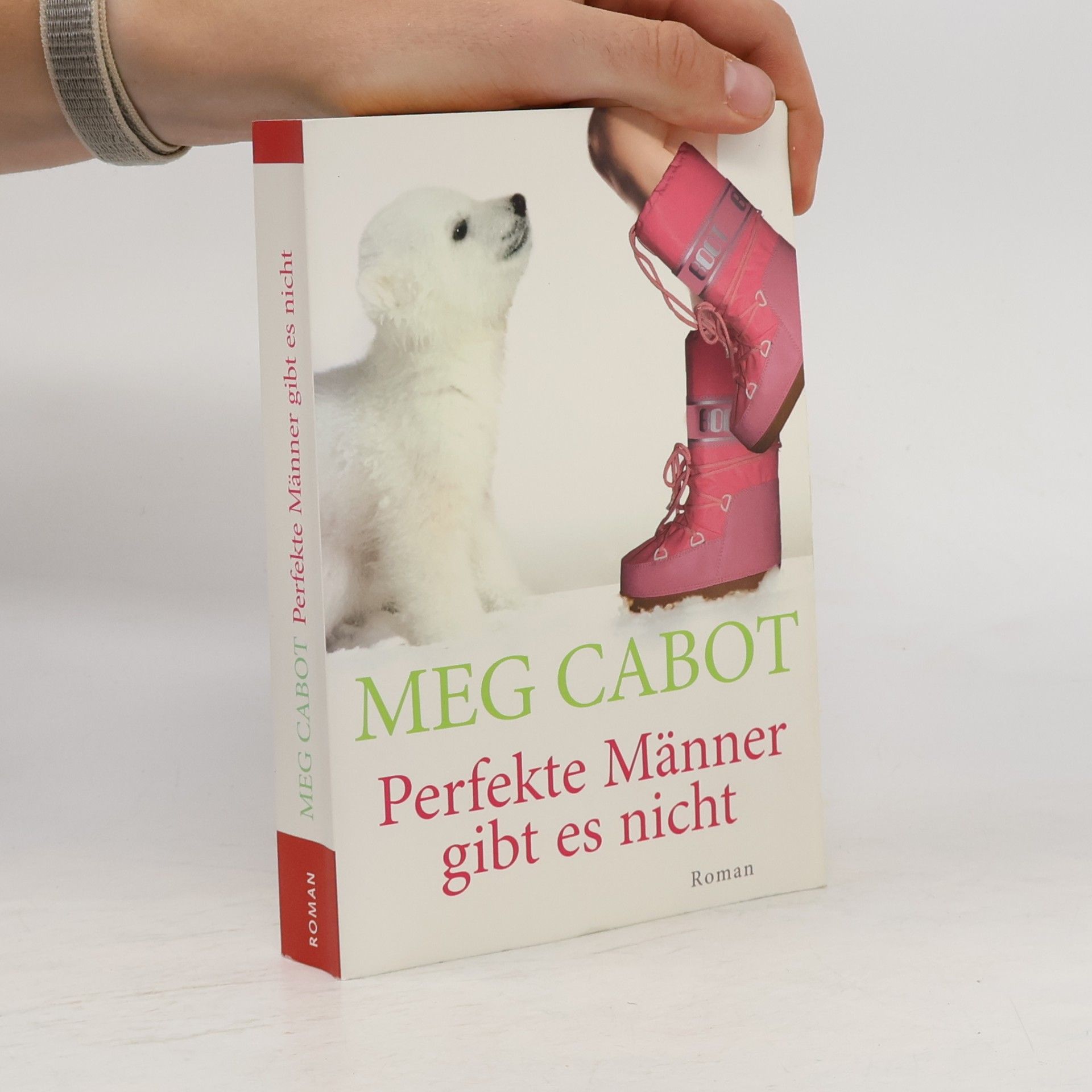 Meg Cabot Perfekte Männer gibt es nicht