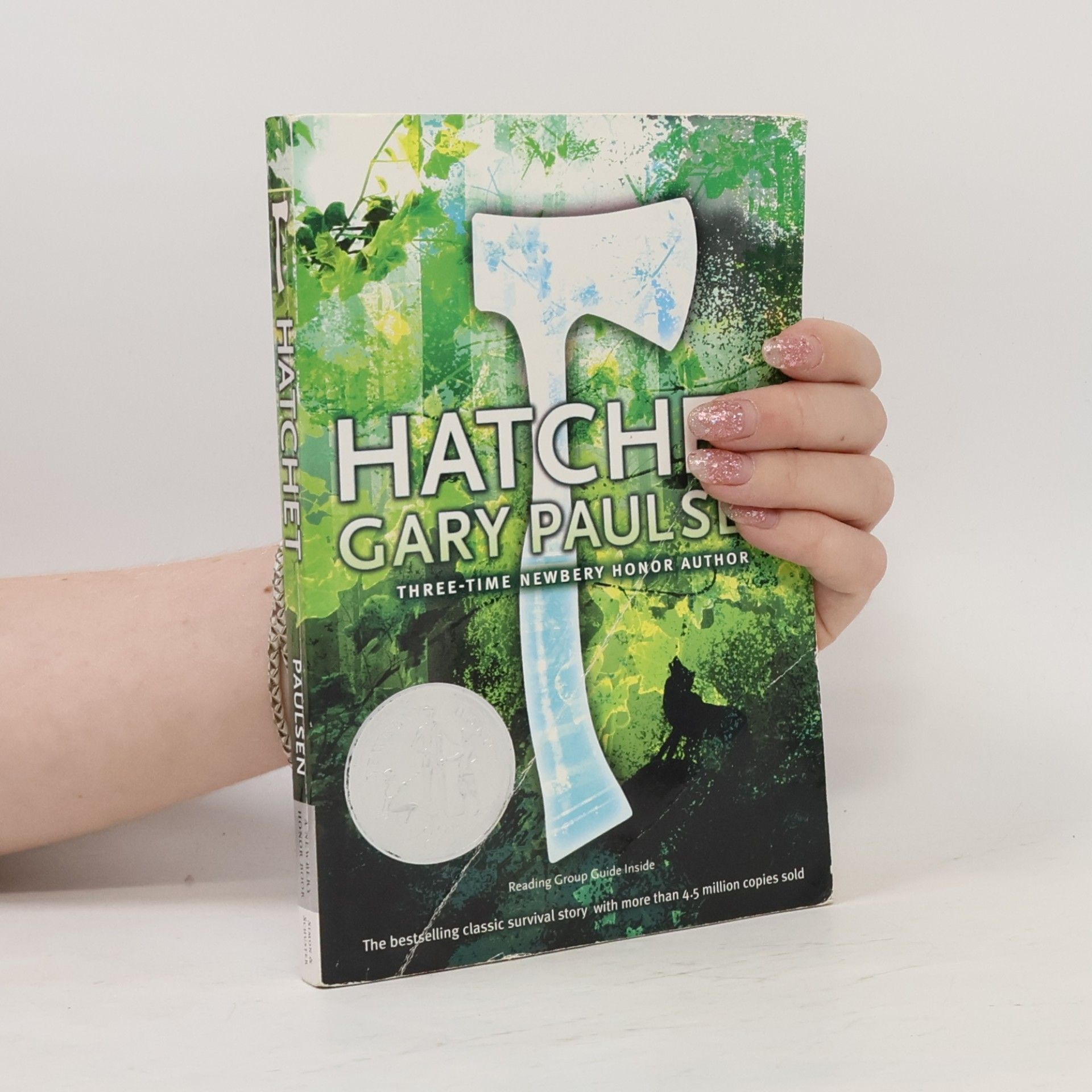 Gary Paulsen Hatchet