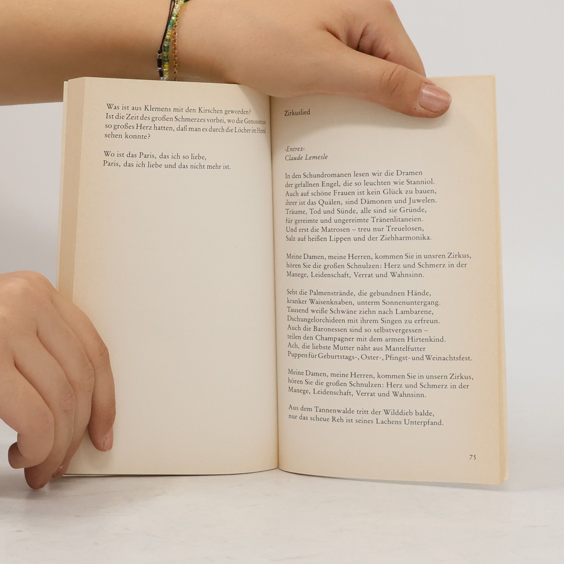 André Heller dtv Literatur: Die Sprache der Salamander. Lieder 1971-1981