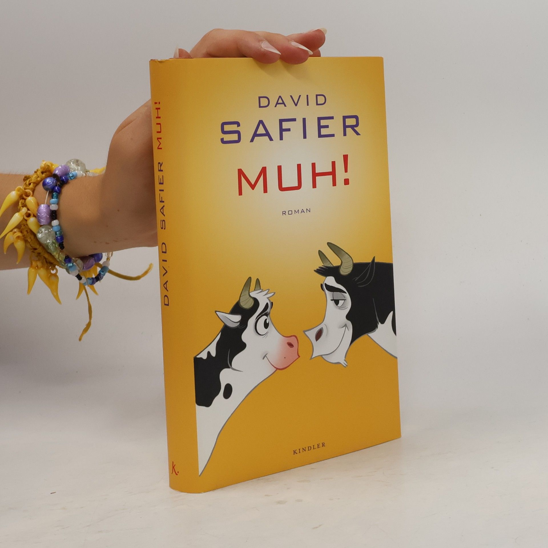 David Safier Muh!