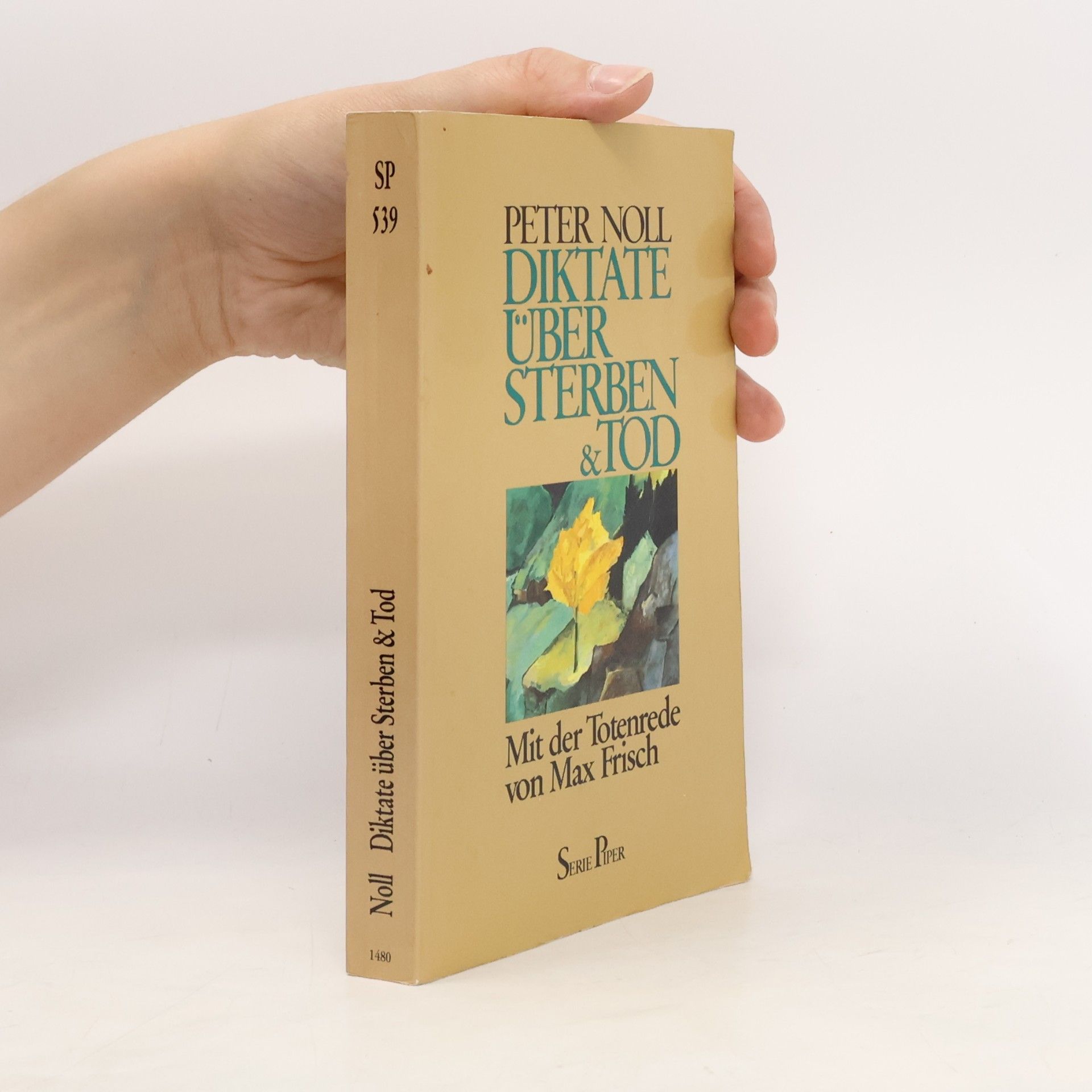 Peter Noll Diktate über Sterben & Tod