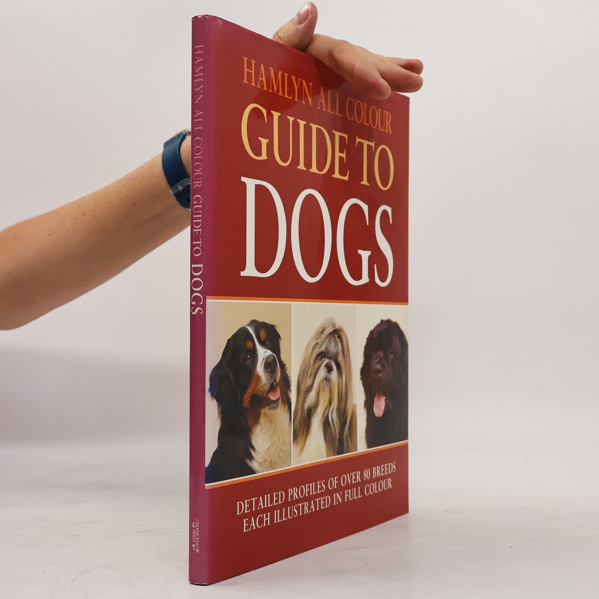 Susan Egerton-Jones Hamlyn All Colour: All Colour Guide to Dogs