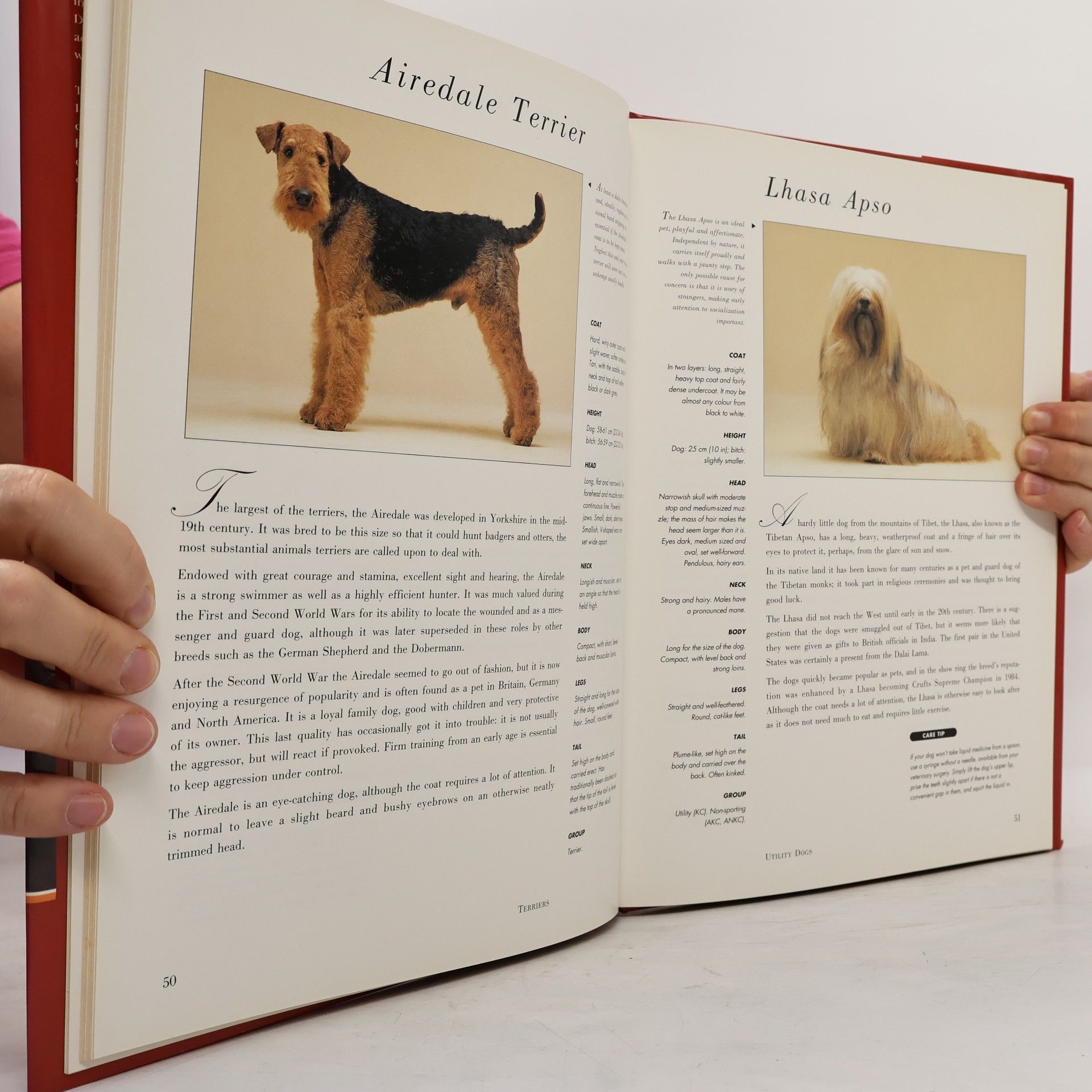 Susan Egerton-Jones Hamlyn All Colour: All Colour Guide to Dogs