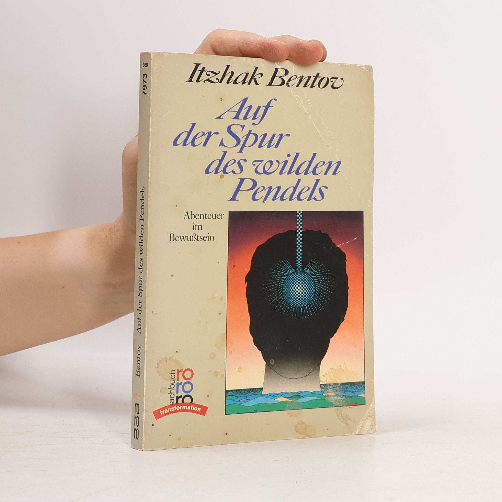 Itzhak Bentov Auf den Spuren des wilden Pendels