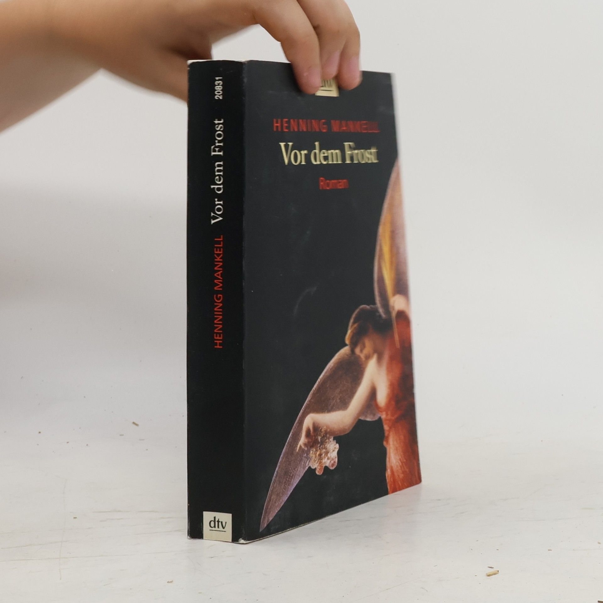 Henning Mankell Vor dem Frost