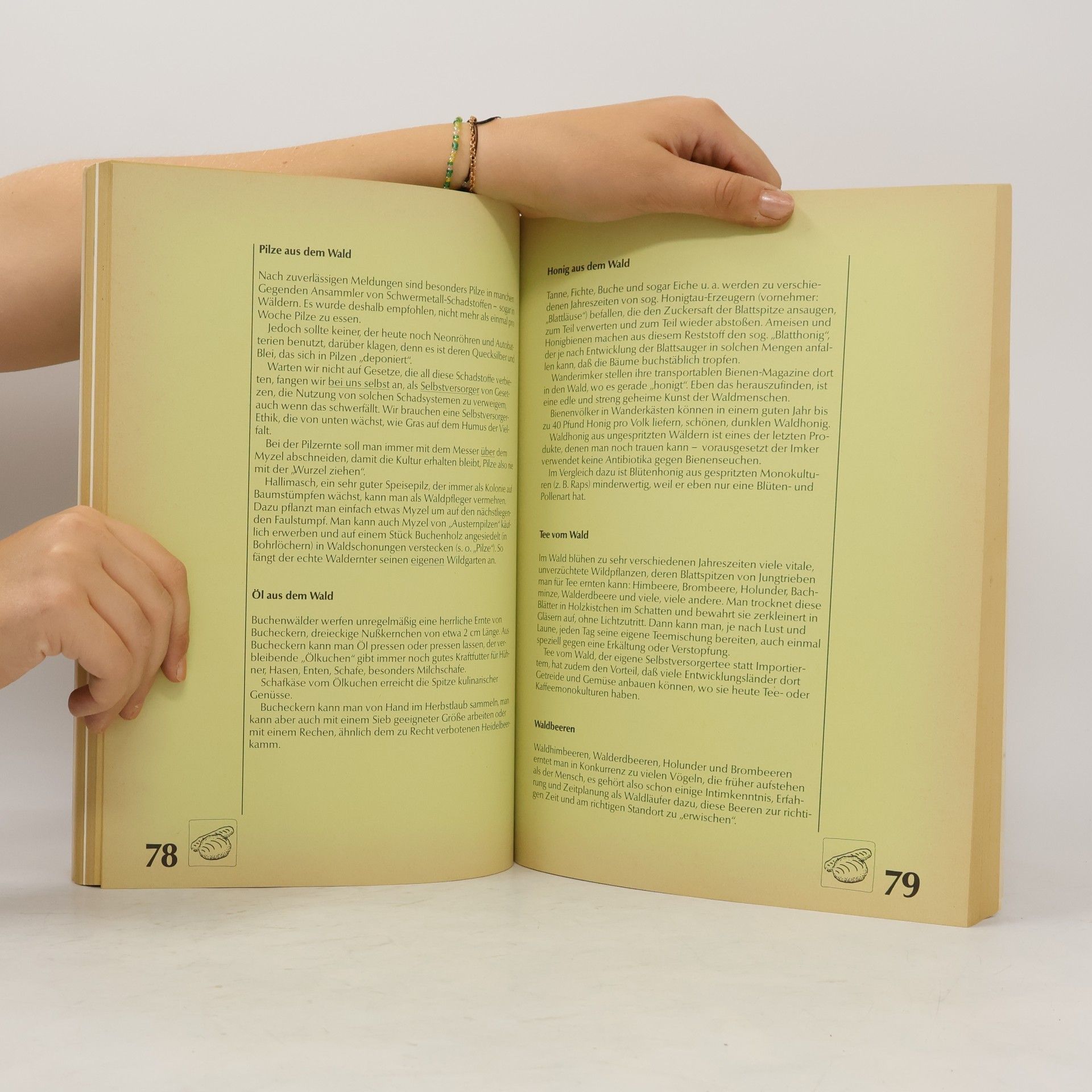 Rudolf Doernach Handbuch für bessere Zeiten