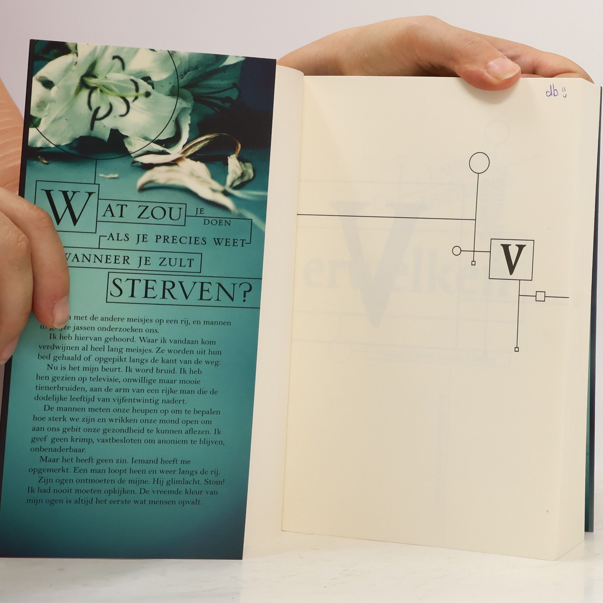 Lauren DeStefano Verwelken