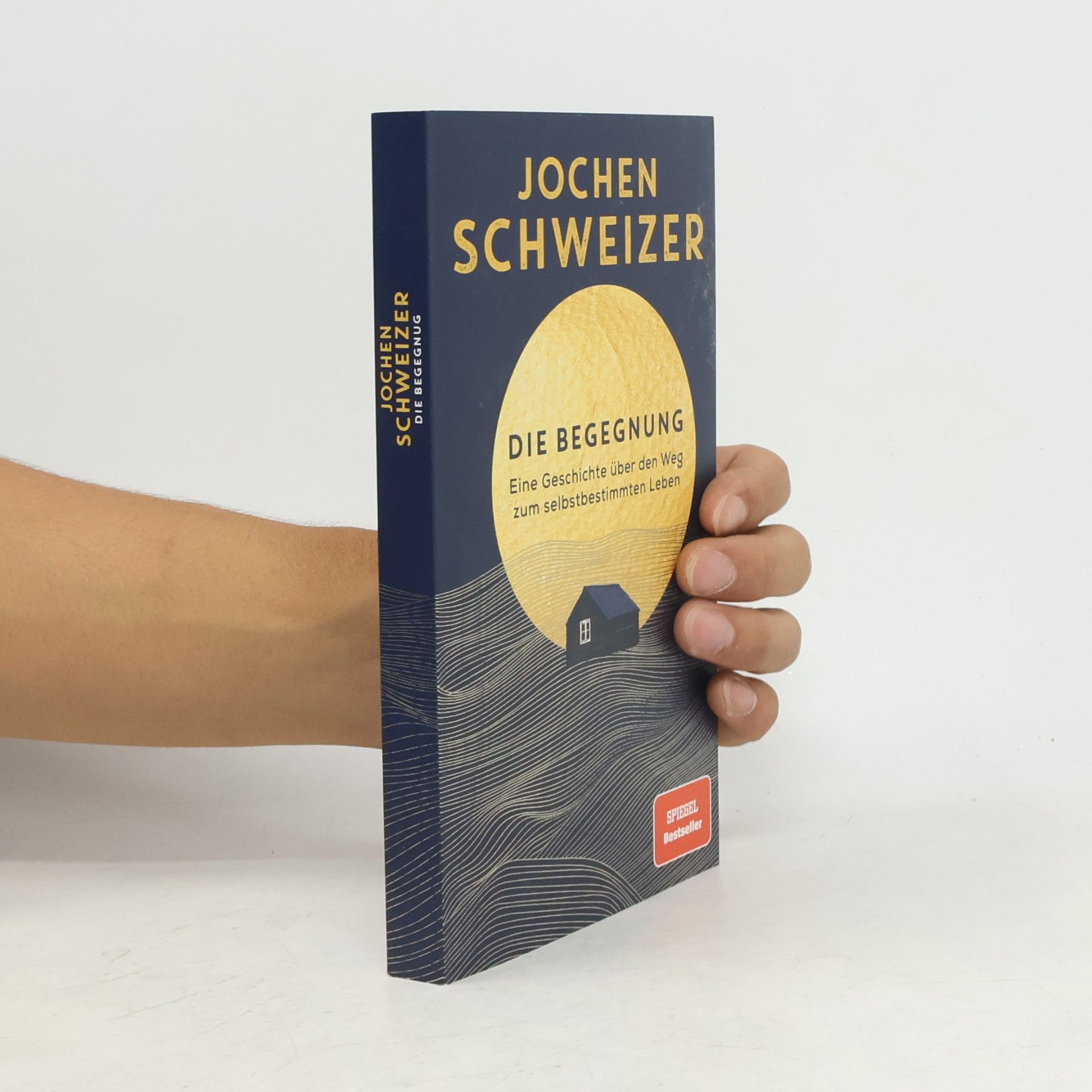 Jochen Schweitzer Die Begegnung