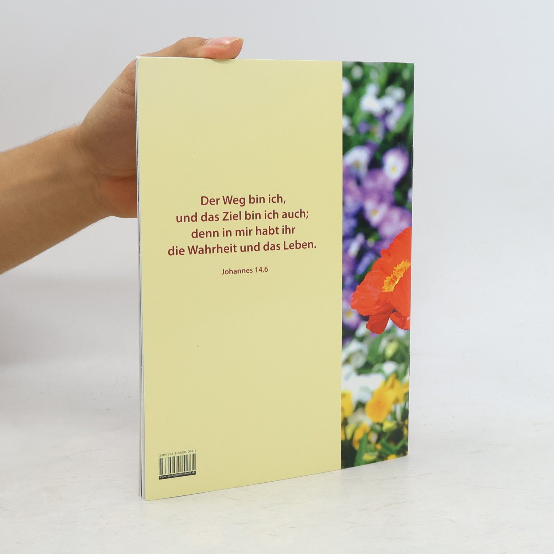 Gabriele Räder Licht auf deinen Wegen