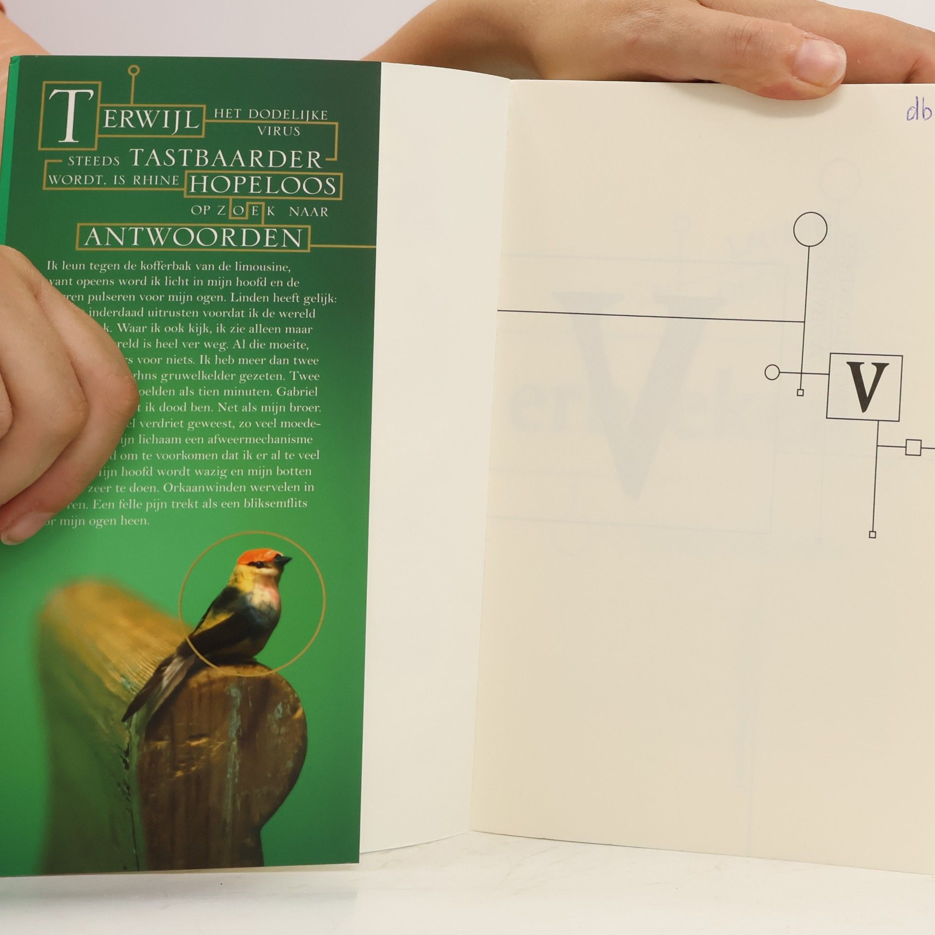 Lauren DeStefano De chemie van de dood - 3: Verbreken