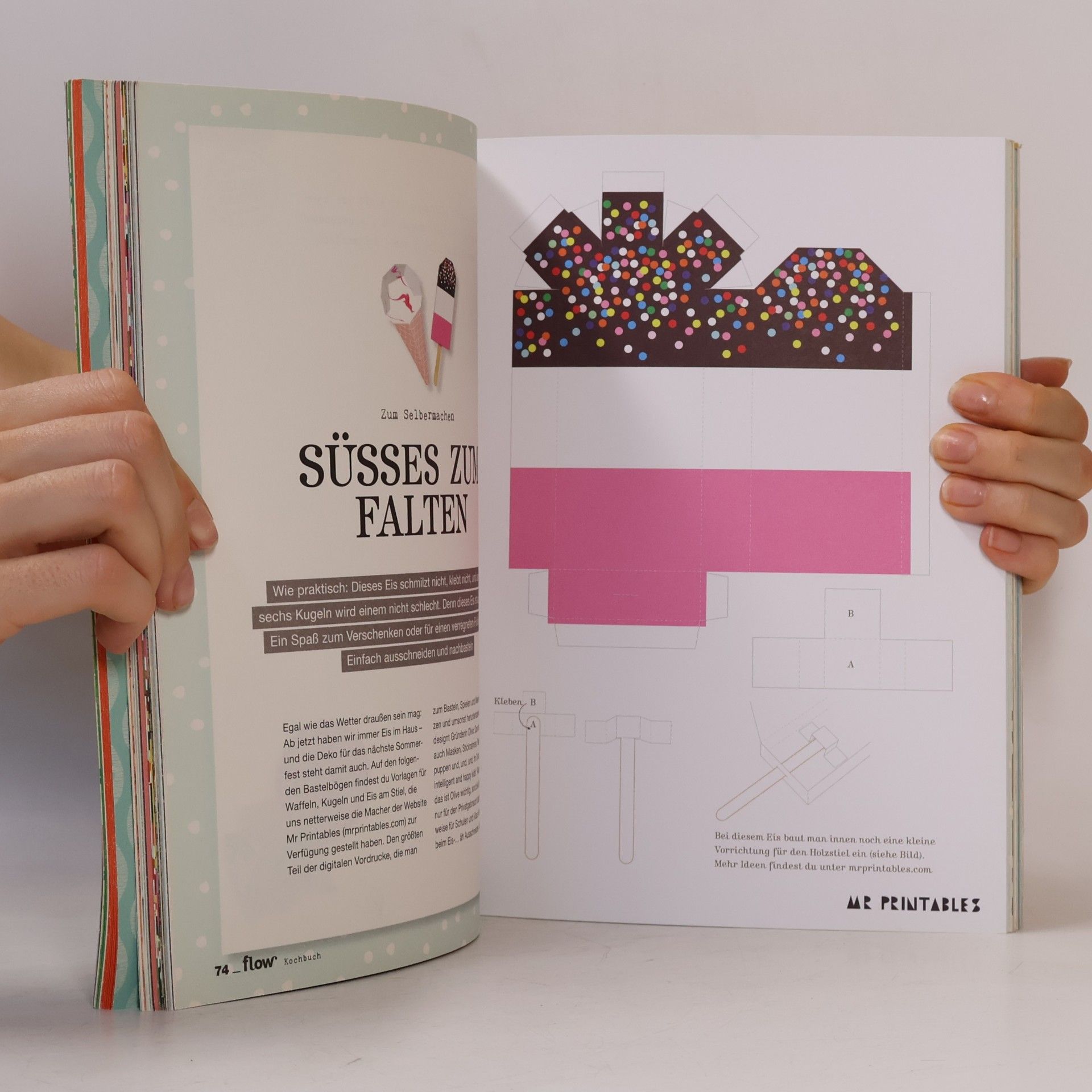 Autorenkollektiv Flow Kochbuch