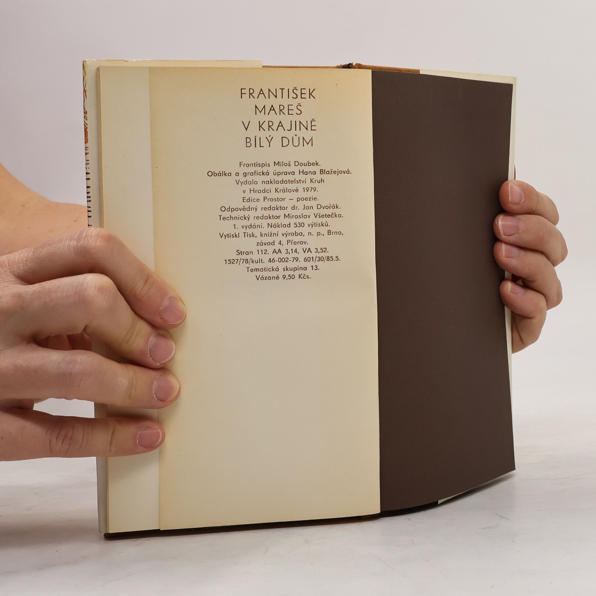 Mareš František V krajině bílý dům