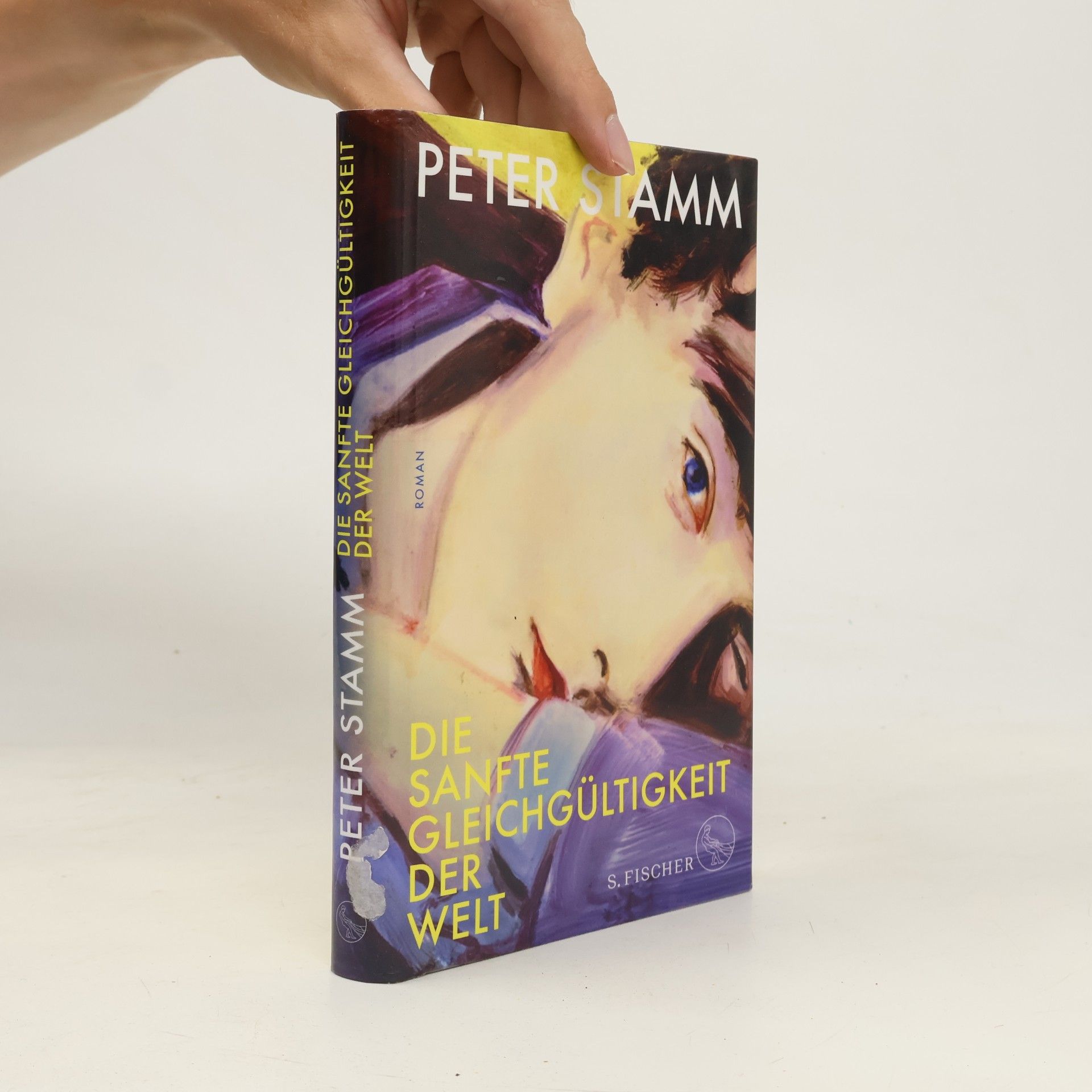 Peter Stamm Die sanfte Gleichgültigkeit der Welt