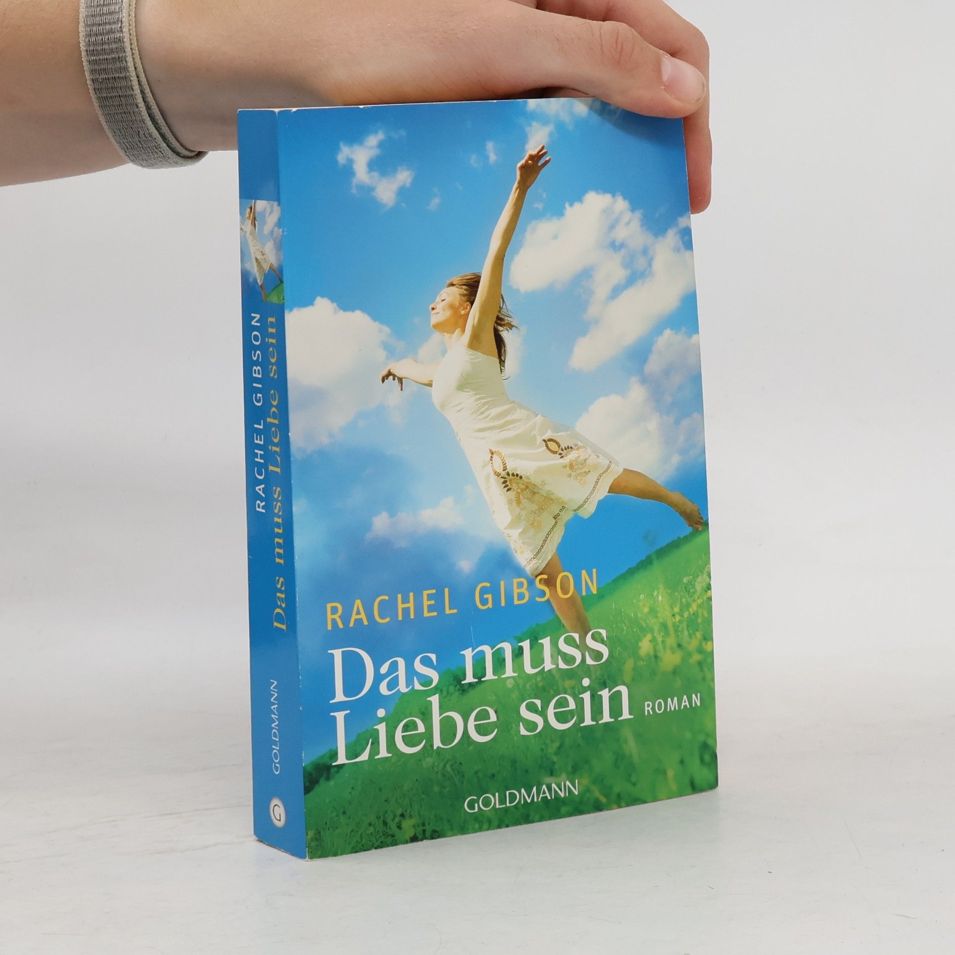 Rachel Gibson Das muss Liebe sein