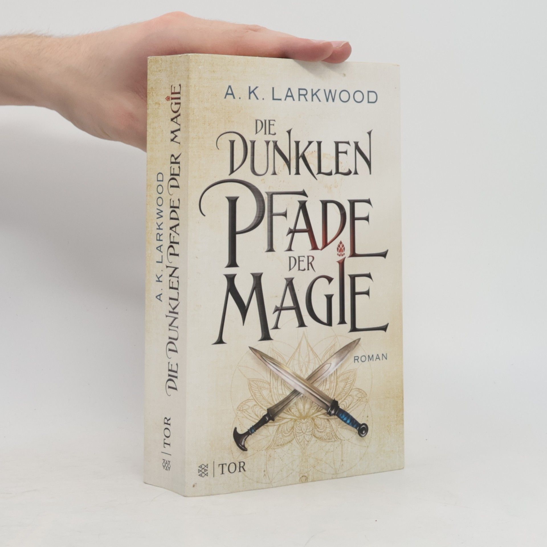 A. K. Larkwood Die dunklen Pfade der Magie